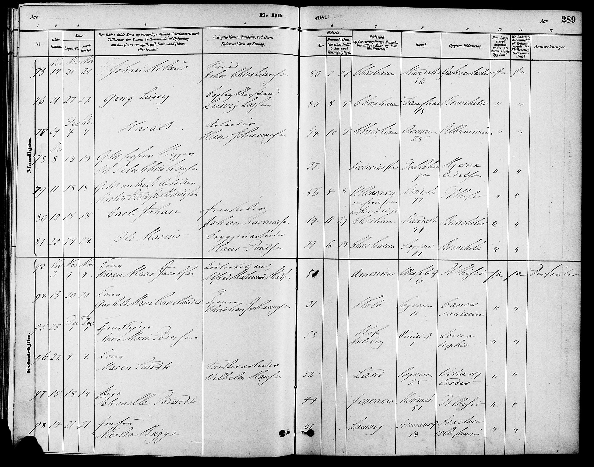 Gamle Aker prestekontor Kirkebøker, SAO/A-10617a/F/L0006: Parish register (official) no. 6, 1880-1887, p. 289