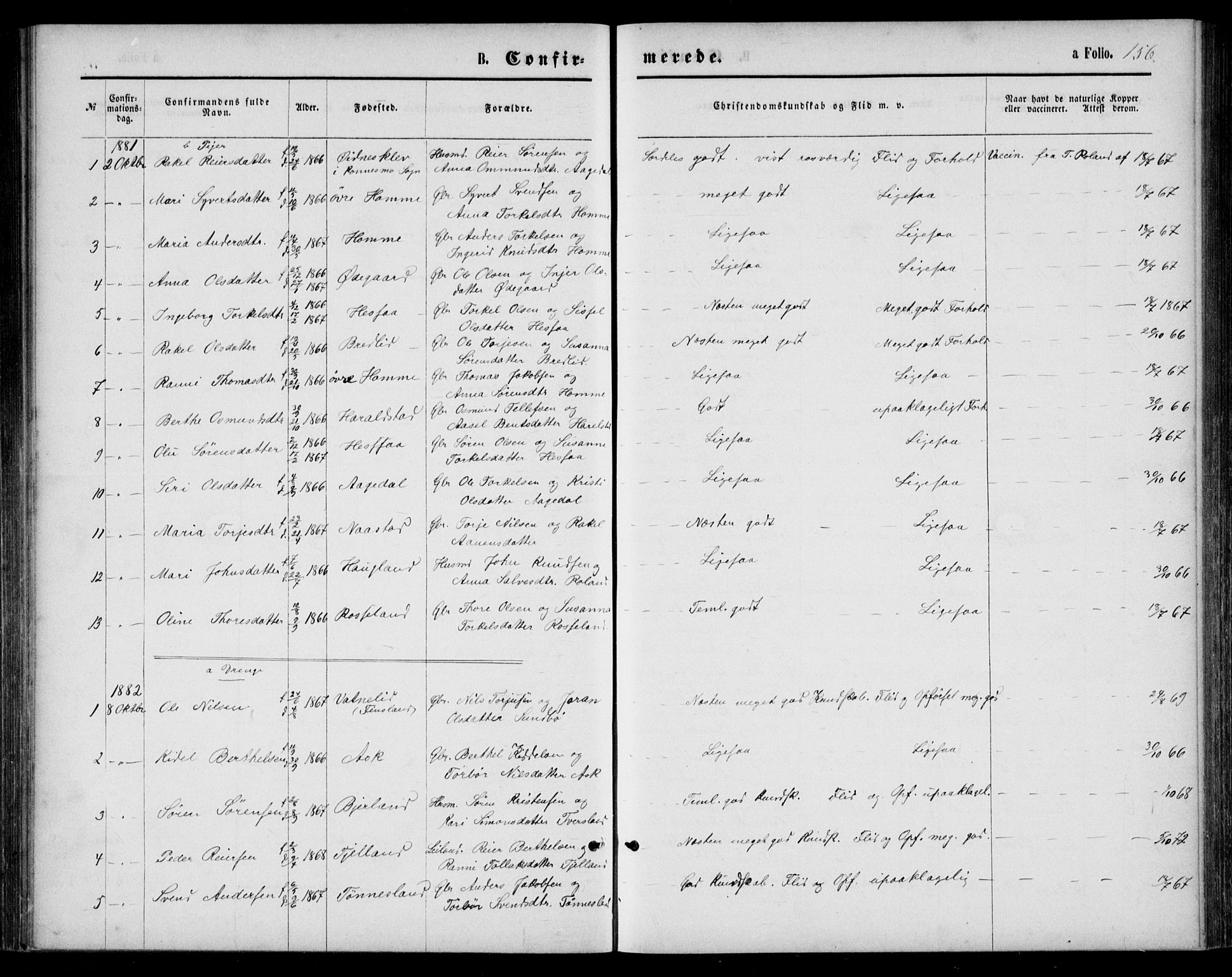 Bjelland sokneprestkontor, AV/SAK-1111-0005/F/Fb/Fba/L0004: Parish register (copy) no. B 4, 1869-1886, p. 156