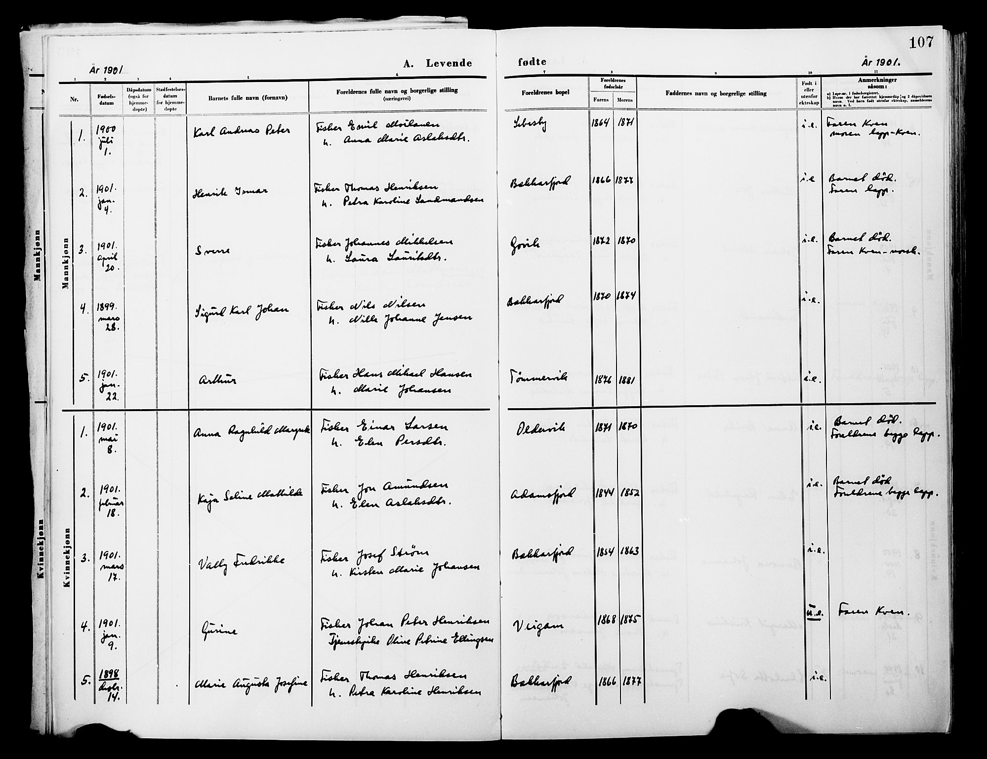 Lebesby sokneprestkontor, AV/SATØ-S-1353/H/Ha/L0004kirke: Parish register (official) no. 4, 1870-1902, p. 107