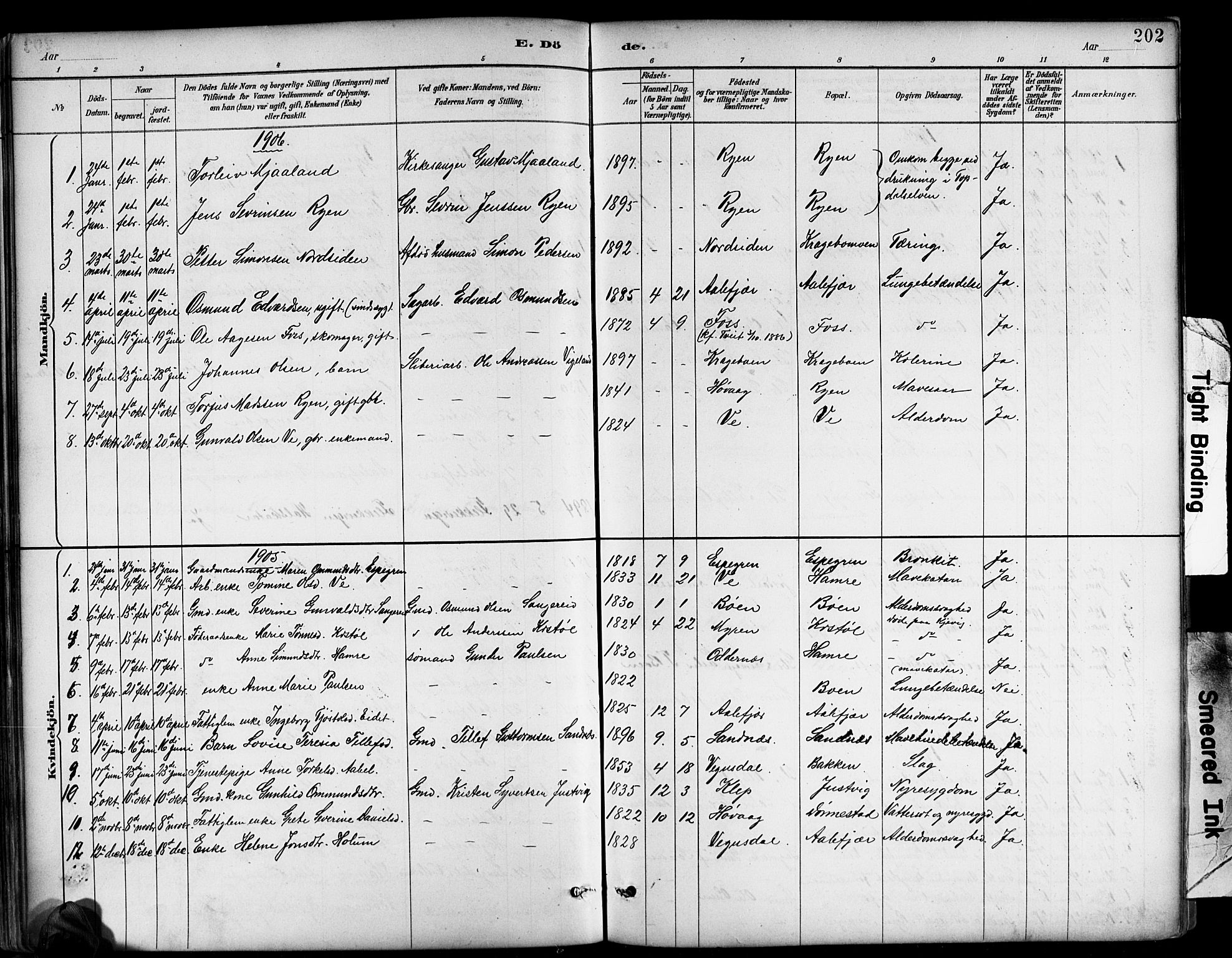 Tveit sokneprestkontor, AV/SAK-1111-0043/F/Fb/L0004: Parish register (copy) no. B 4, 1887-1914, p. 202