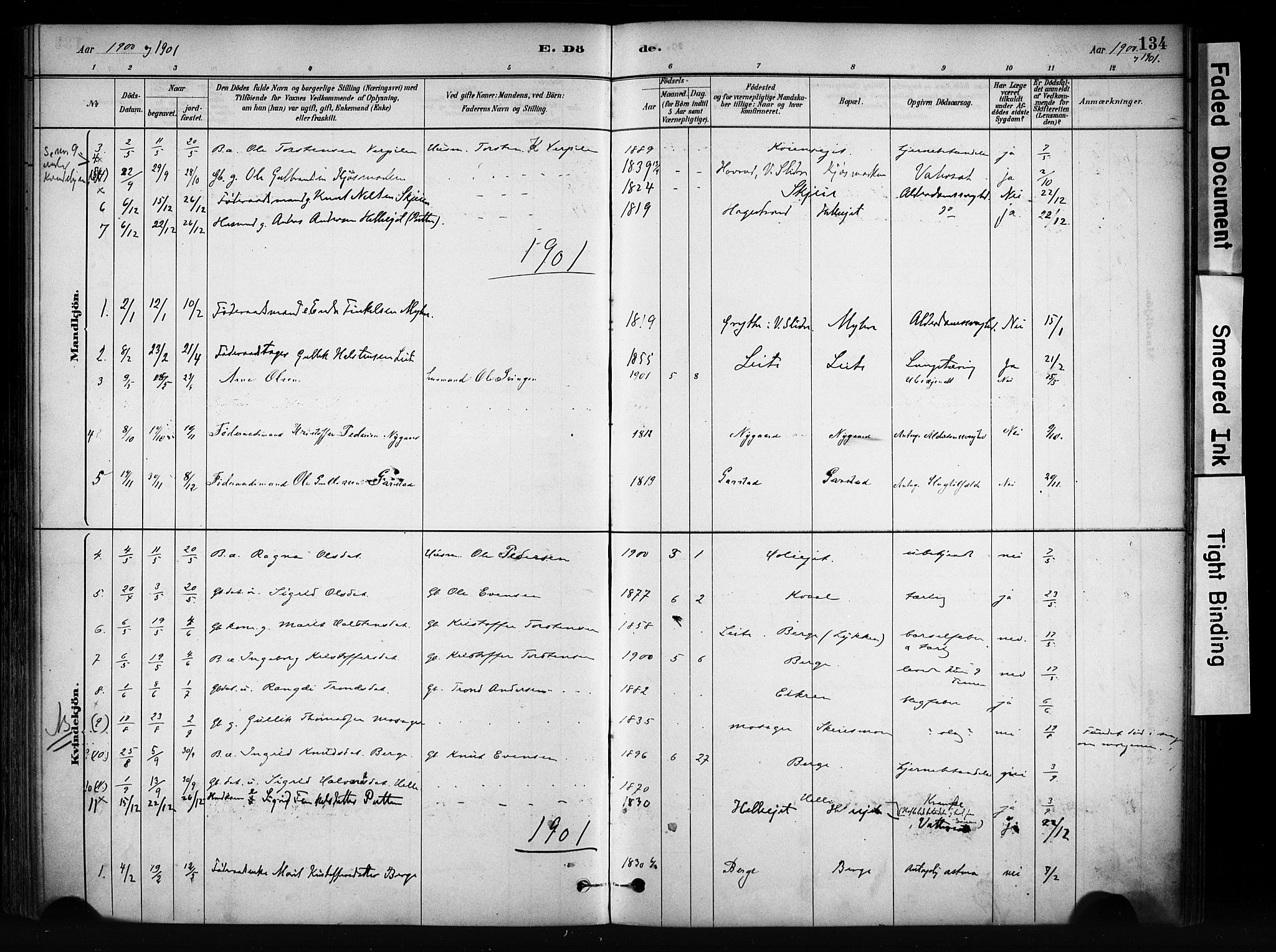 Vang prestekontor, Valdres, SAH/PREST-140/H/Ha/L0009: Parish register (official) no. 9, 1882-1914, p. 134
