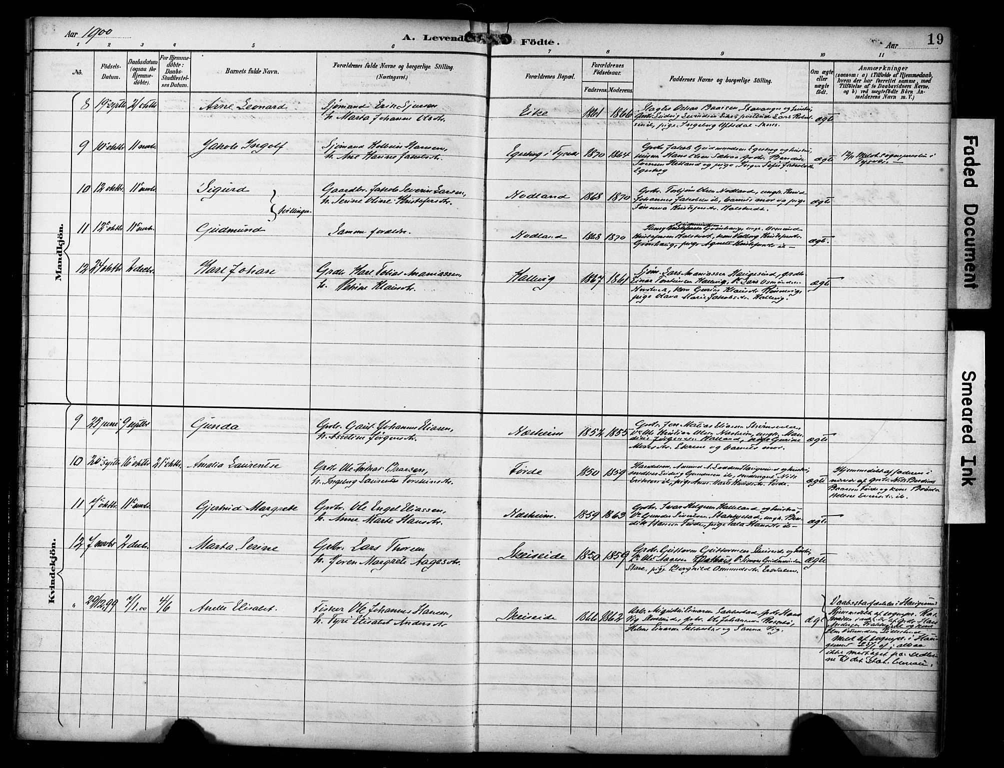 Avaldsnes sokneprestkontor, SAST/A -101851/H/Ha/Haa/L0016: Parish register (official) no. A 16, 1893-1918, p. 19