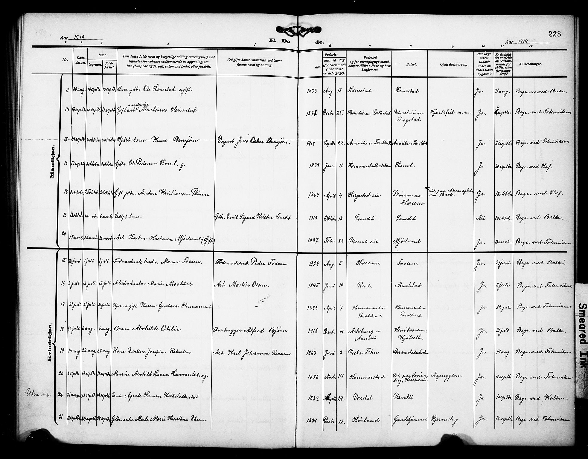 Østre Toten prestekontor, AV/SAH-PREST-104/H/Ha/Hab/L0008: Parish register (copy) no. 8, 1913-1929, p. 228