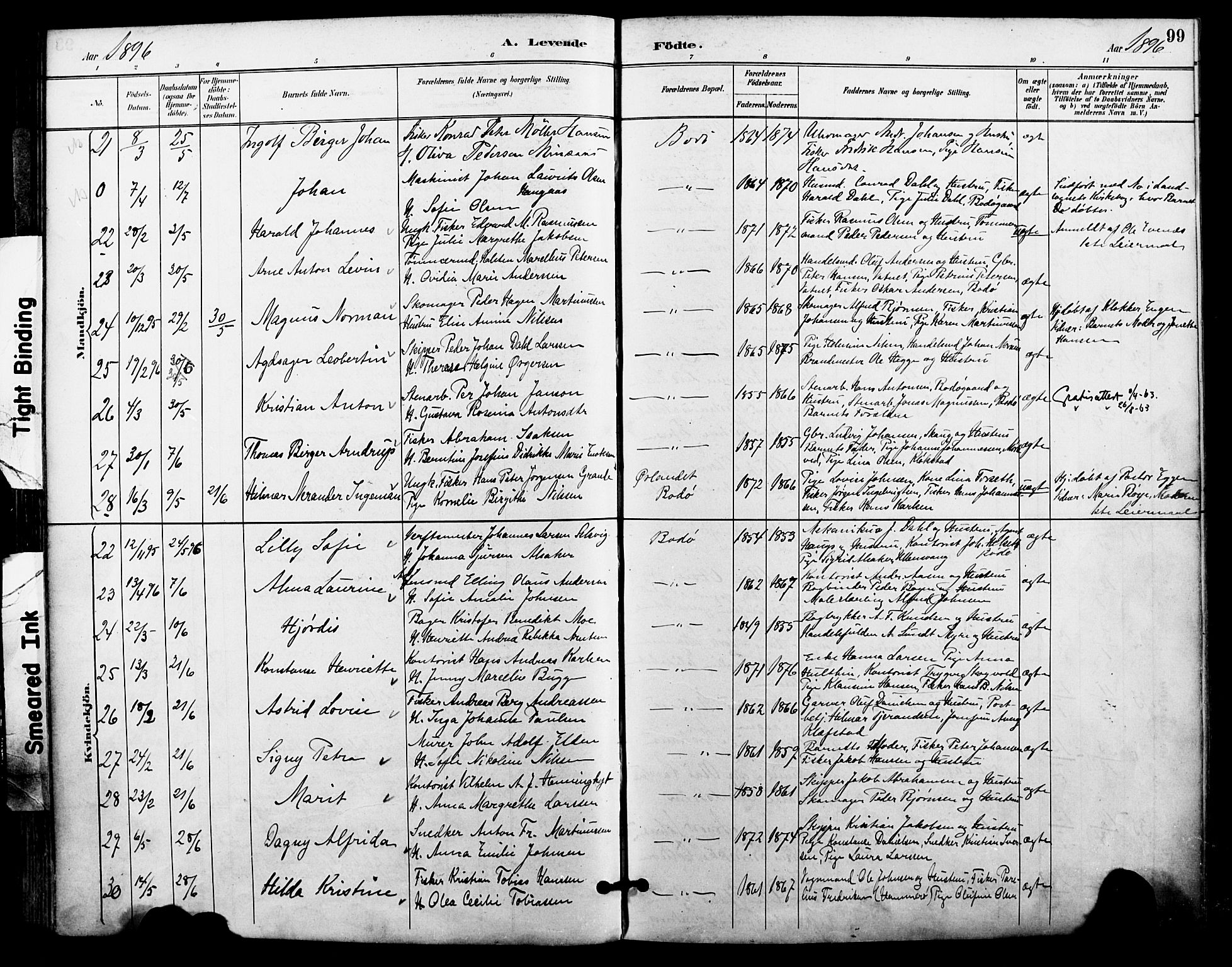 Ministerialprotokoller, klokkerbøker og fødselsregistre - Nordland, AV/SAT-A-1459/801/L0010: Parish register (official) no. 801A10, 1888-1899, p. 99