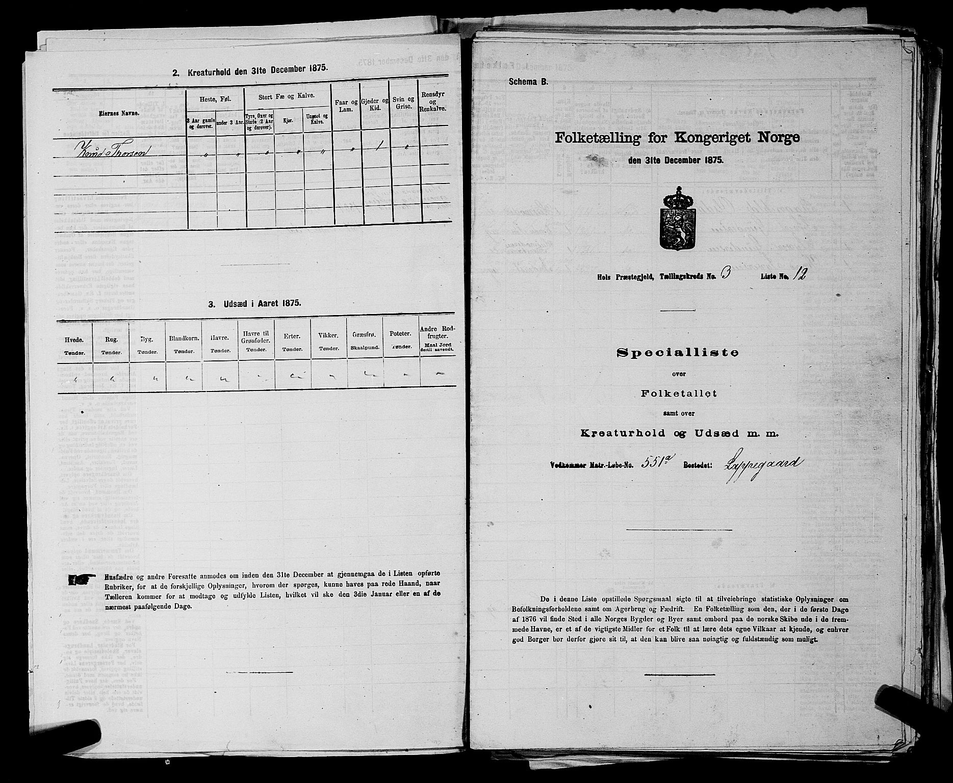 SAKO, 1875 census for 0620P Hol, 1875, p. 314