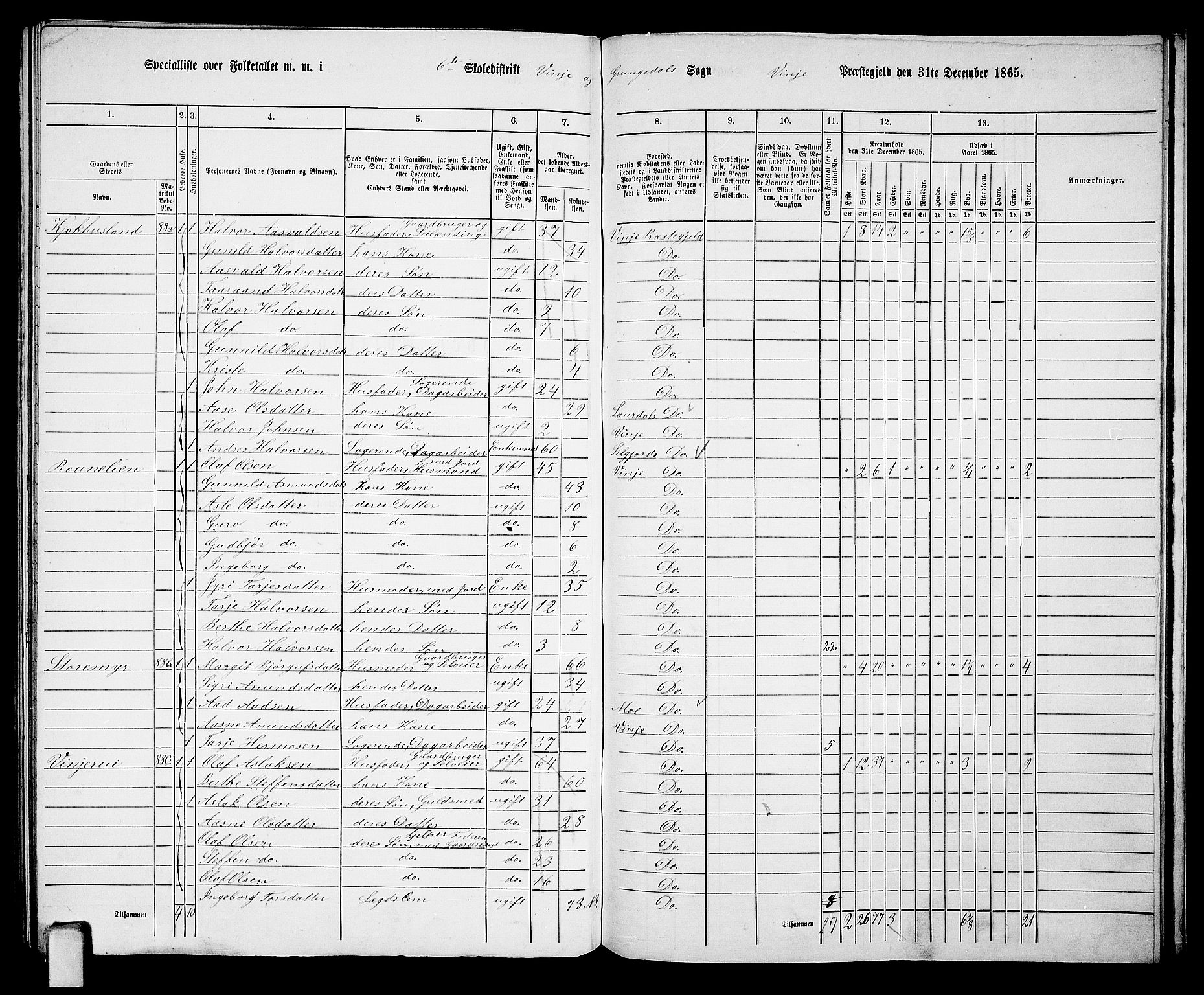 RA, 1865 census for Vinje, 1865, p. 56