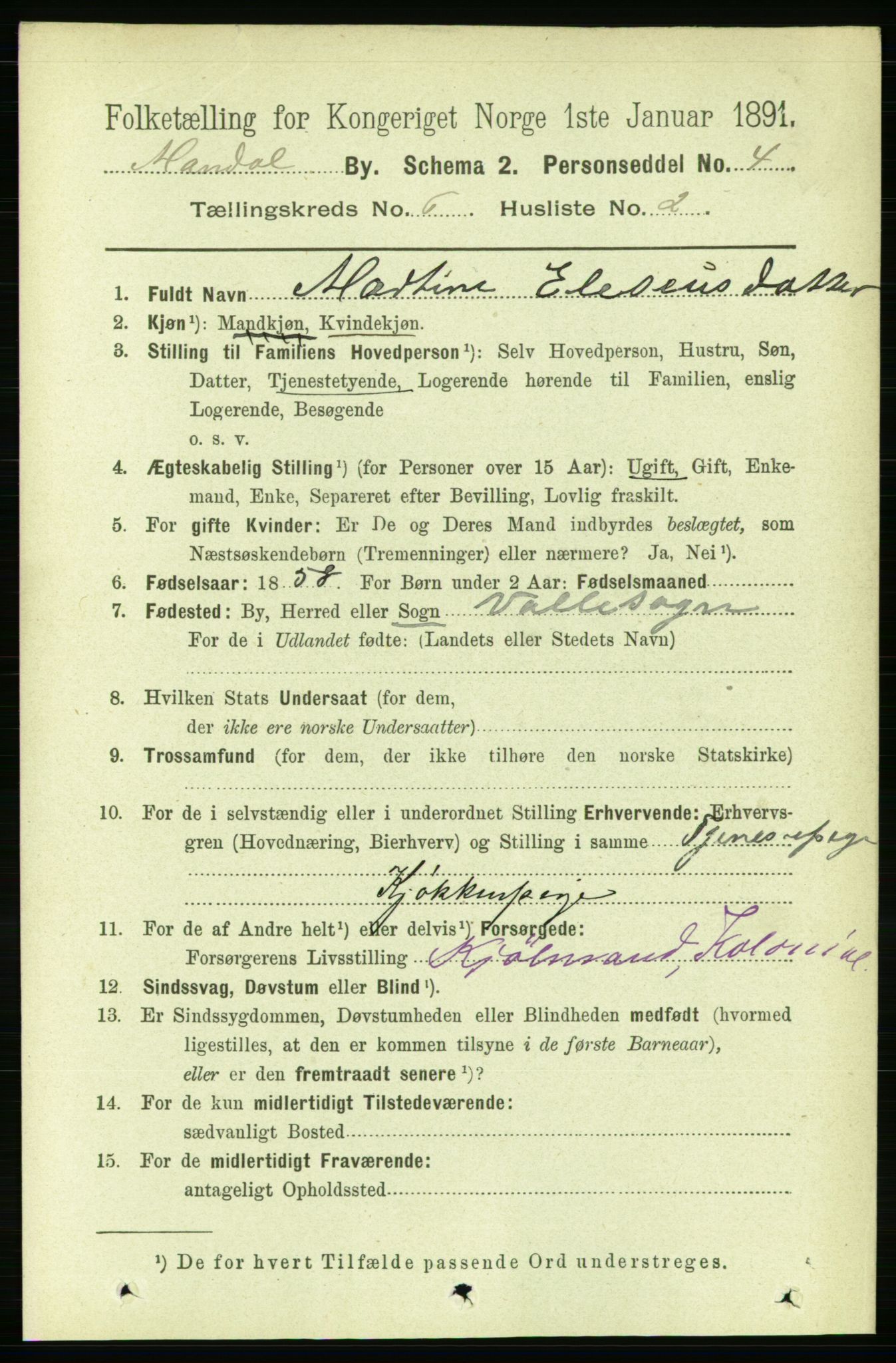 RA, 1891 census for 1002 Mandal, 1891, p. 2060