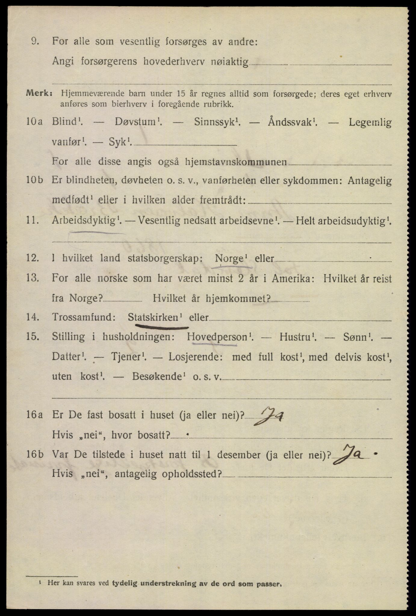 SAKO, 1920 census for Skien, 1920, p. 24261