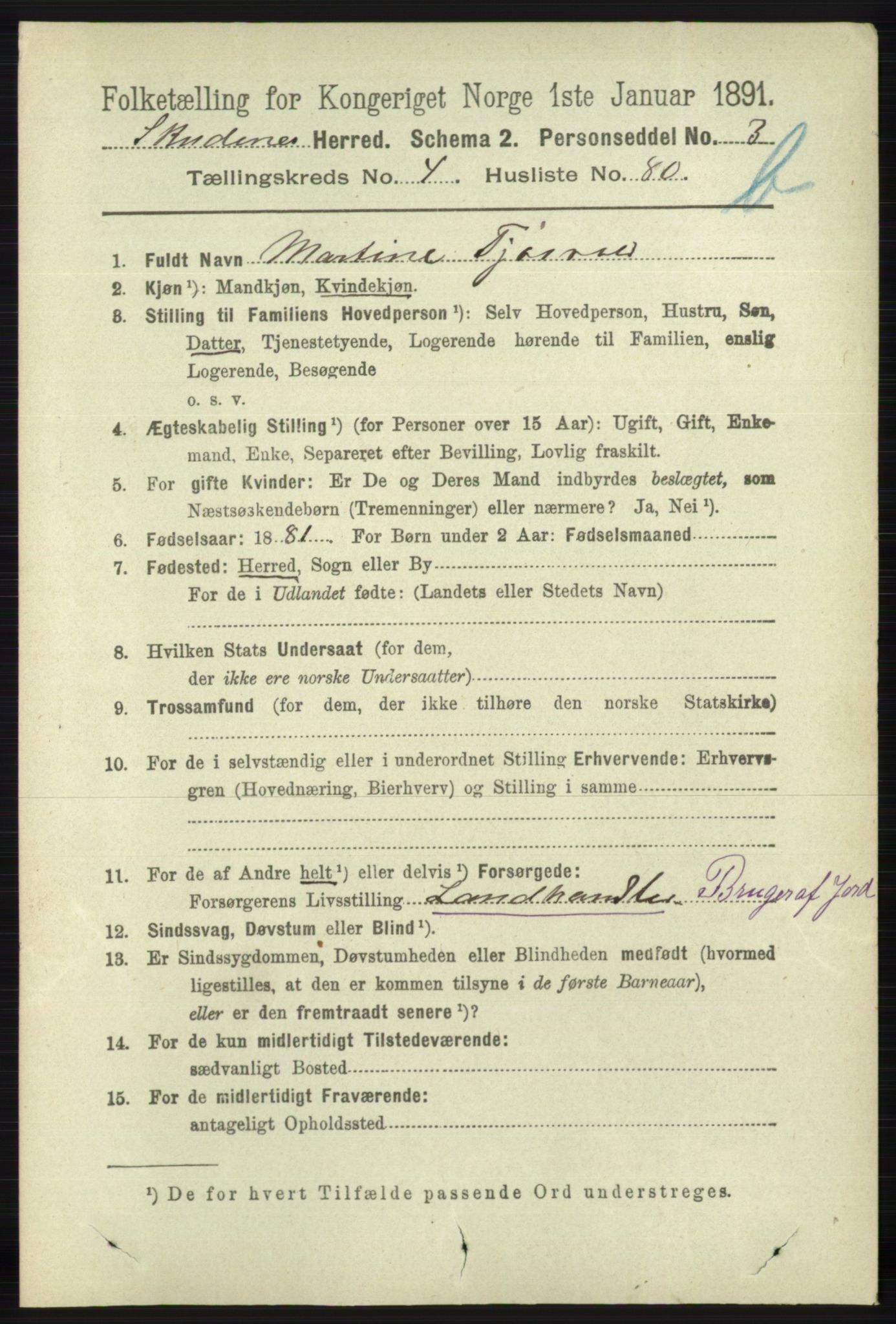 RA, 1891 census for 1150 Skudenes, 1891, p. 4984