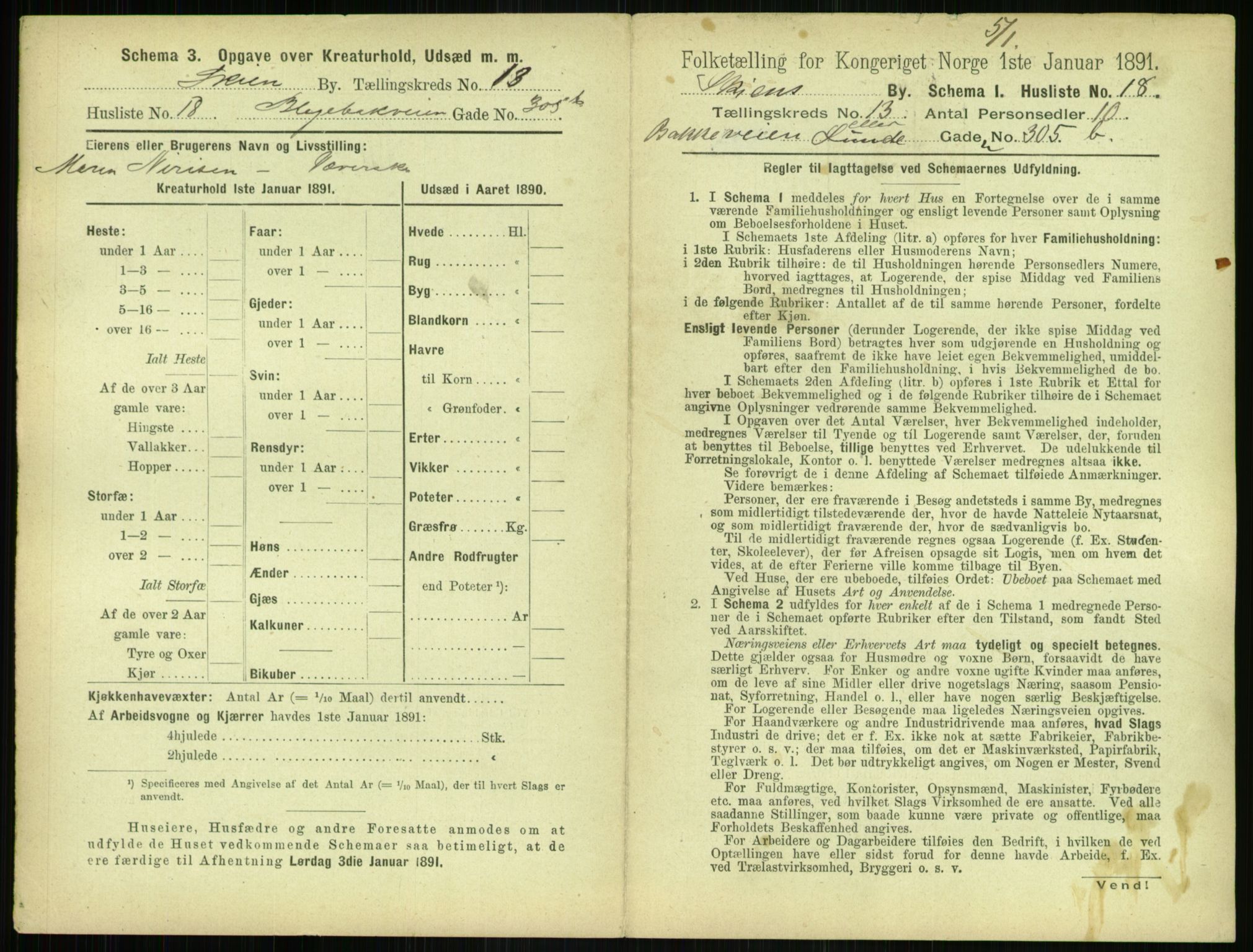 RA, 1891 census for 0806 Skien, 1891, p. 530