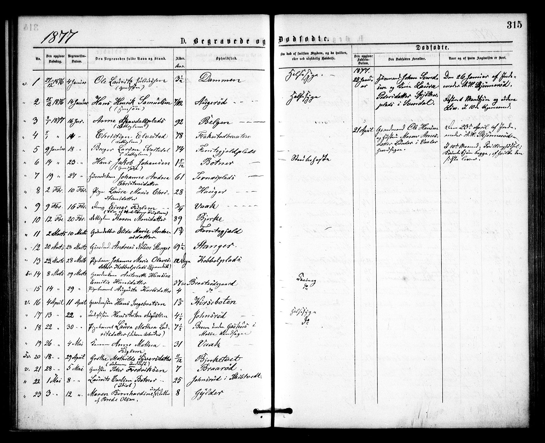 Våler prestekontor Kirkebøker, SAO/A-11083/F/Fa/L0009: Parish register (official) no. I 9, 1873-1877, p. 315