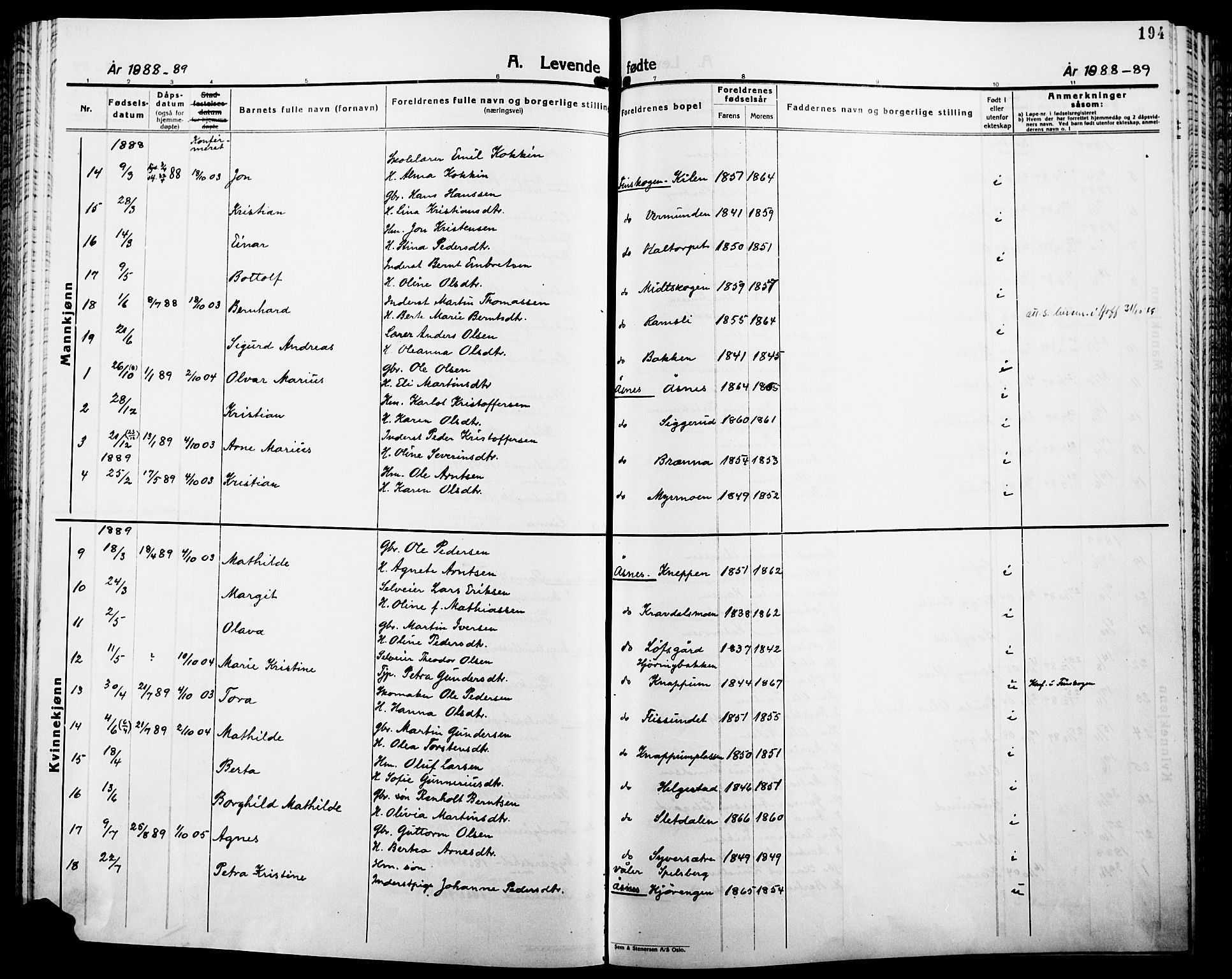 Åsnes prestekontor, AV/SAH-PREST-042/H/Ha/Haa/L0000B: Parish register (official), 1870-1889, p. 194