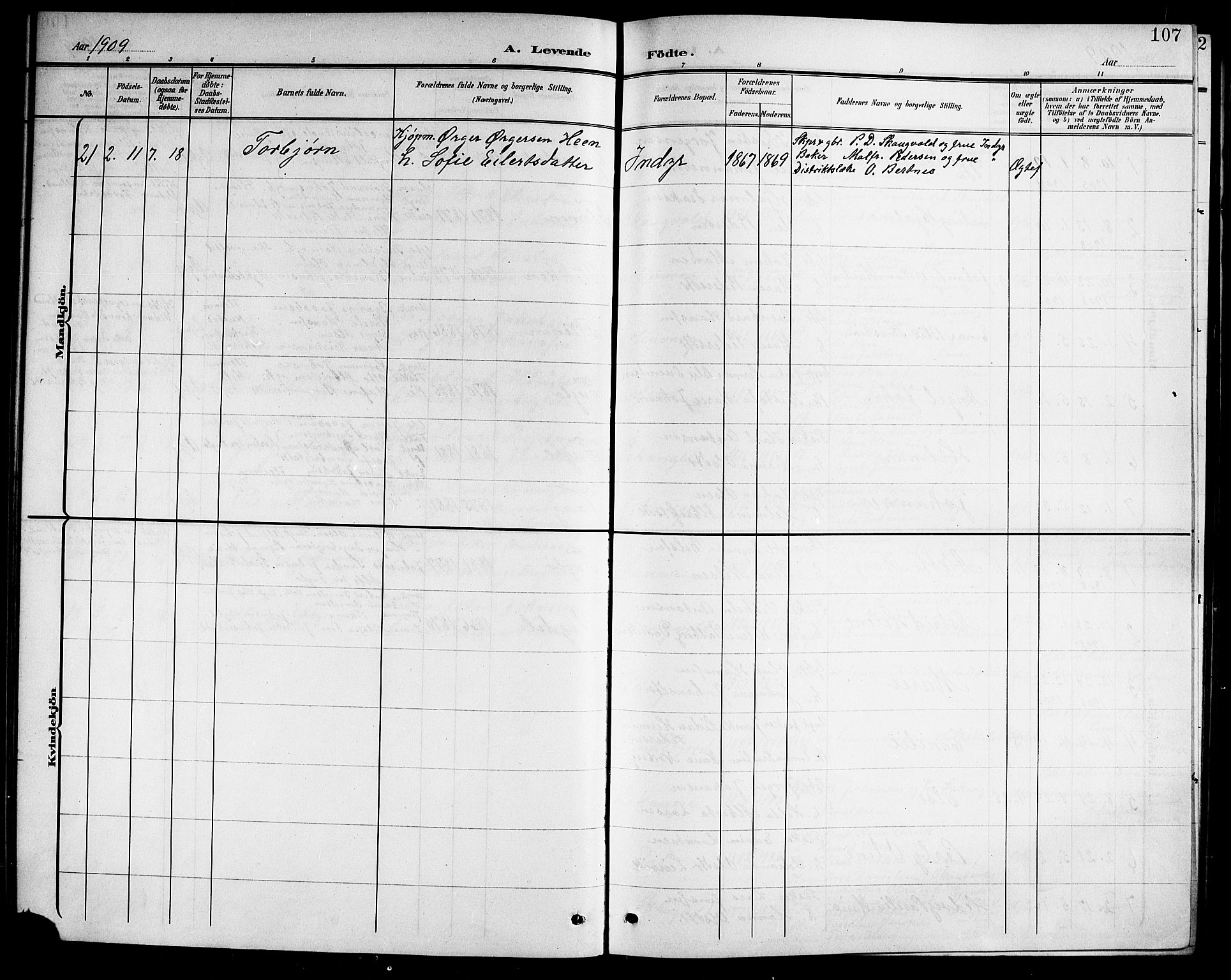 Ministerialprotokoller, klokkerbøker og fødselsregistre - Nordland, AV/SAT-A-1459/805/L0109: Parish register (copy) no. 805C05, 1900-1911, p. 107