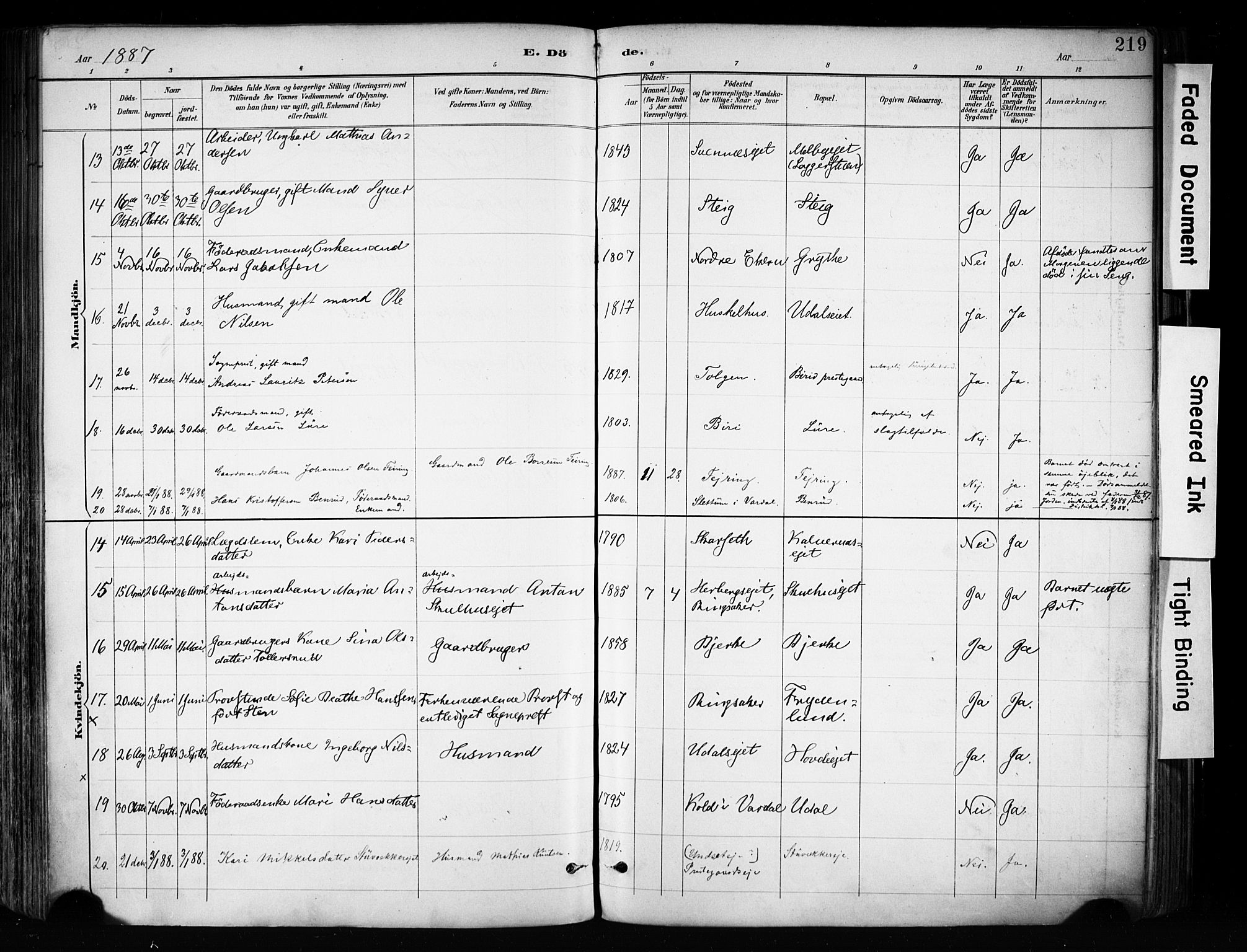 Biri prestekontor, AV/SAH-PREST-096/H/Ha/Haa/L0009: Parish register (official) no. 9, 1887-1900, p. 219