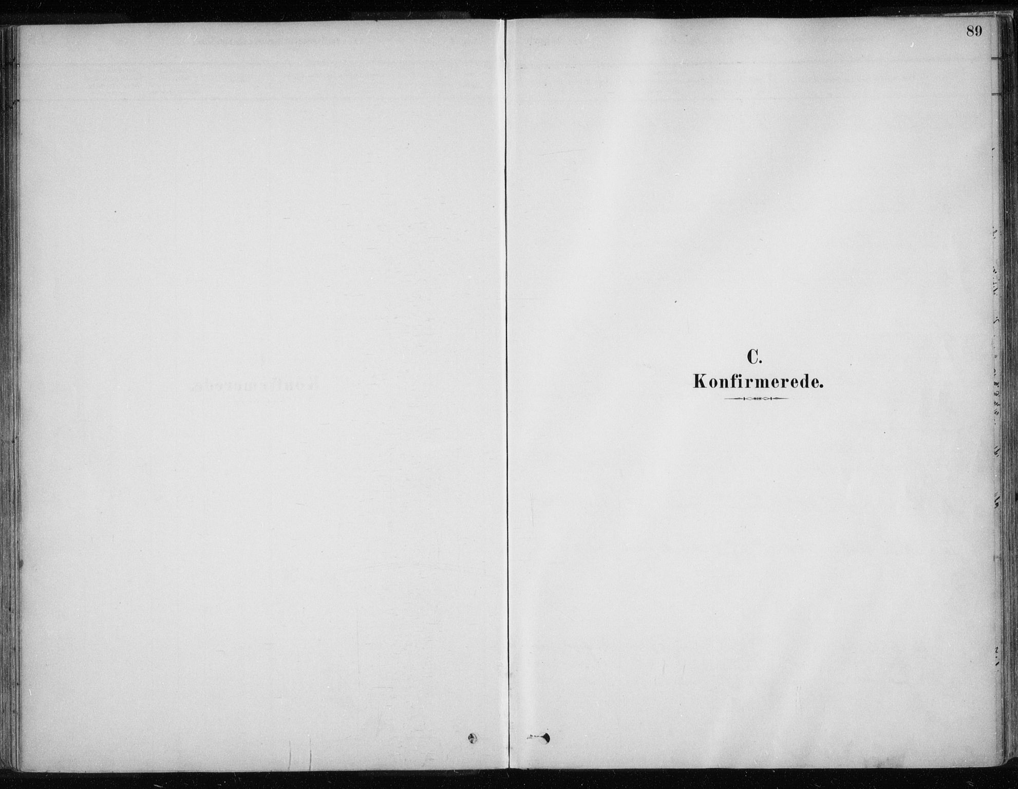 Karasjok sokneprestkontor, SATØ/S-1352/H/Ha/L0002kirke: Parish register (official) no. 2, 1885-1906, p. 89