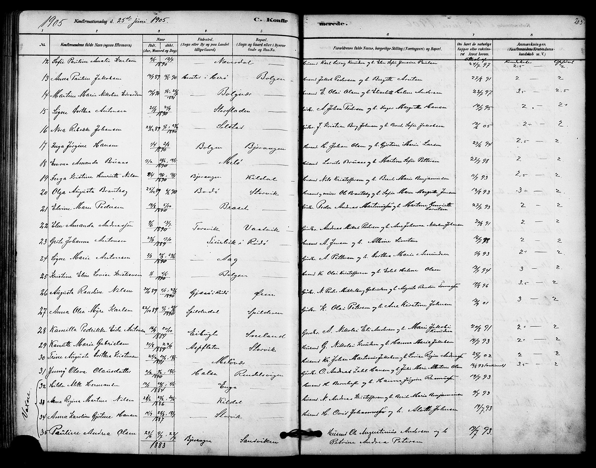 Ministerialprotokoller, klokkerbøker og fødselsregistre - Nordland, AV/SAT-A-1459/843/L0626: Parish register (official) no. 843A01, 1878-1907, p. 205