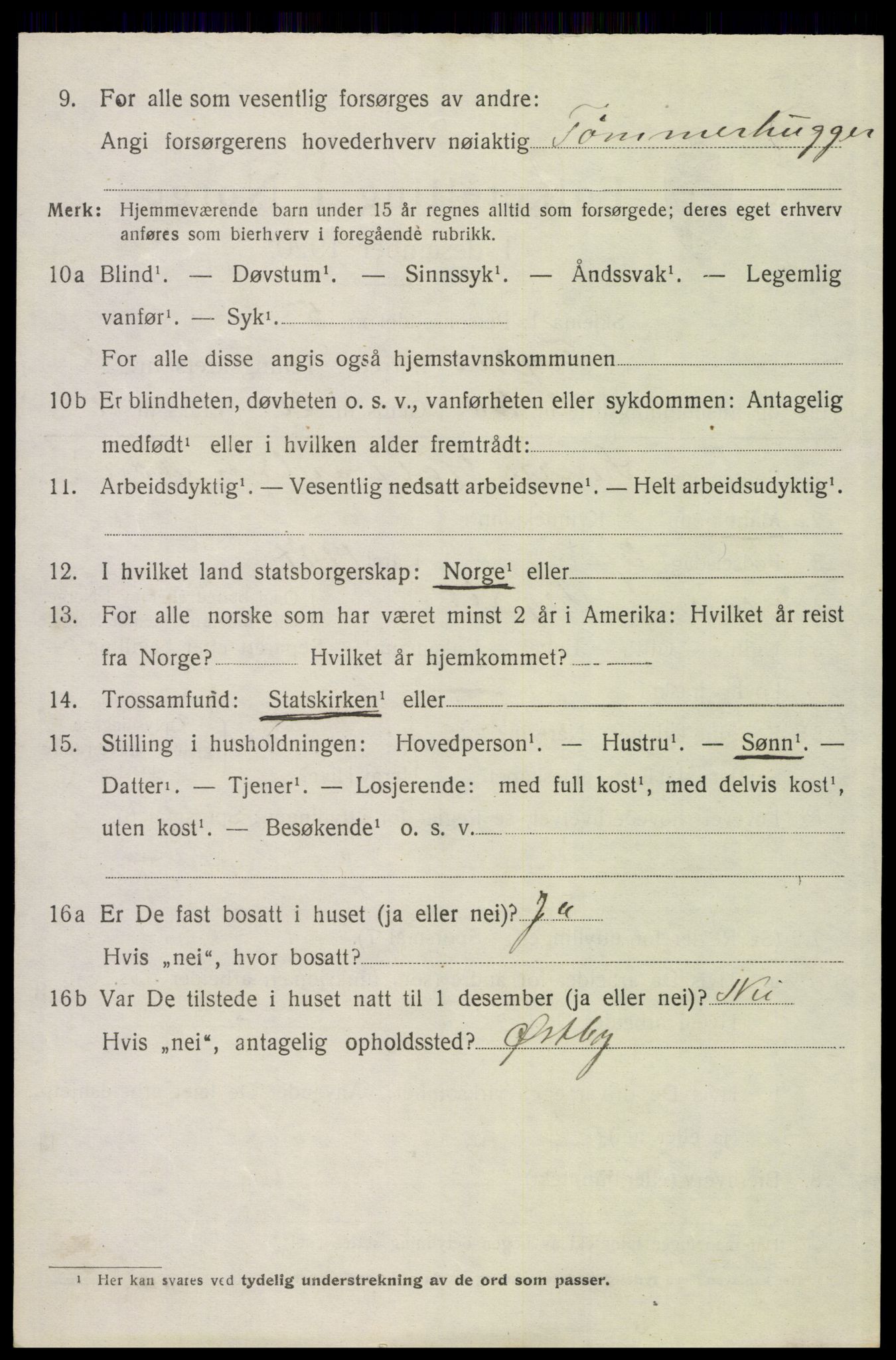 SAH, 1920 census for Trysil, 1920, p. 6552