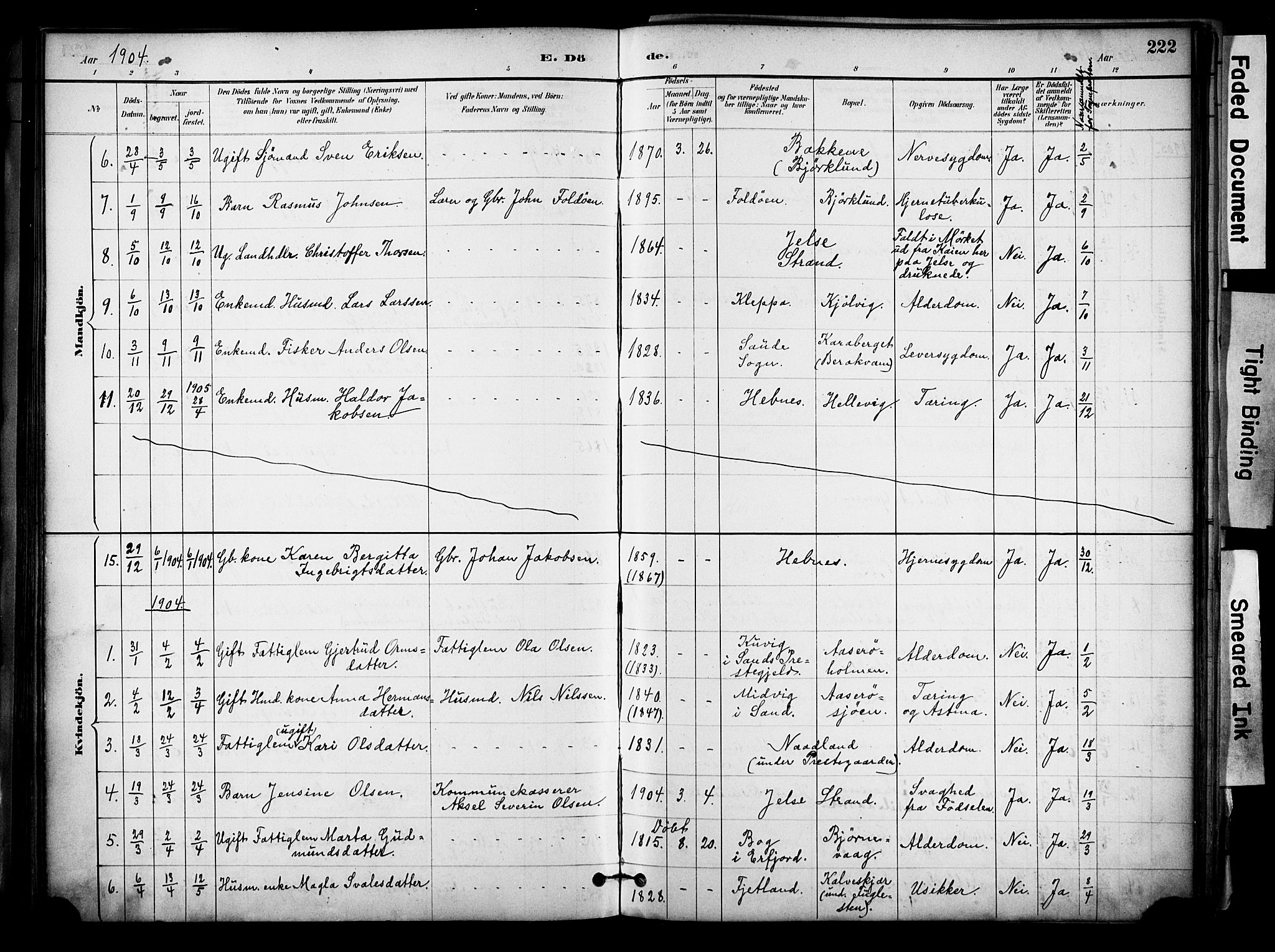 Jelsa sokneprestkontor, SAST/A-101842/01/IV: Parish register (official) no. A 10, 1884-1906, p. 222