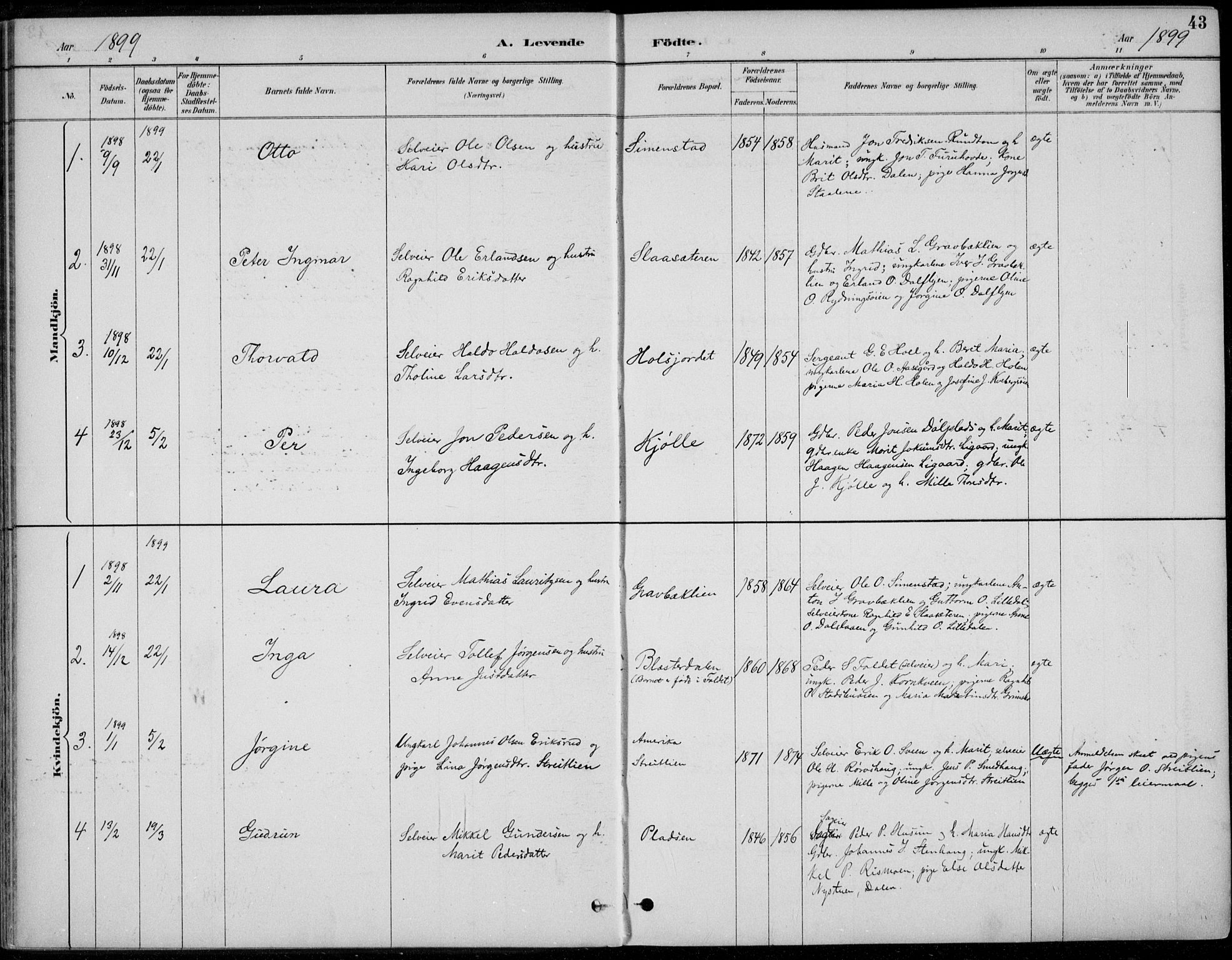 Alvdal prestekontor, SAH/PREST-060/H/Ha/Haa/L0003: Parish register (official) no. 3, 1886-1912, p. 43