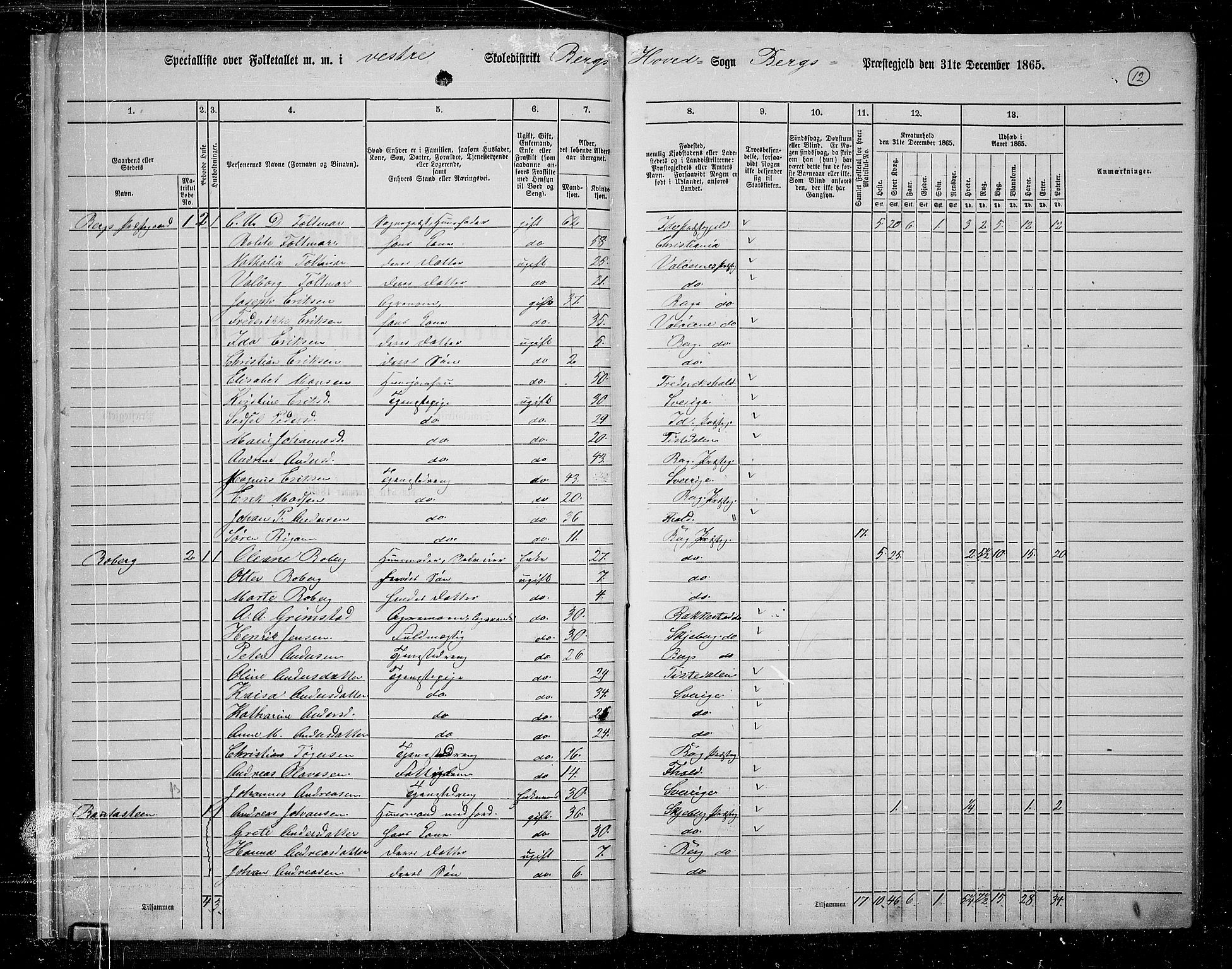 RA, 1865 census for Berg, 1865, p. 12