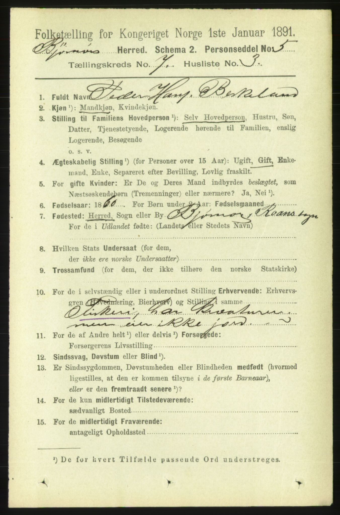 RA, 1891 census for 1632 Bjørnør, 1891, p. 3002