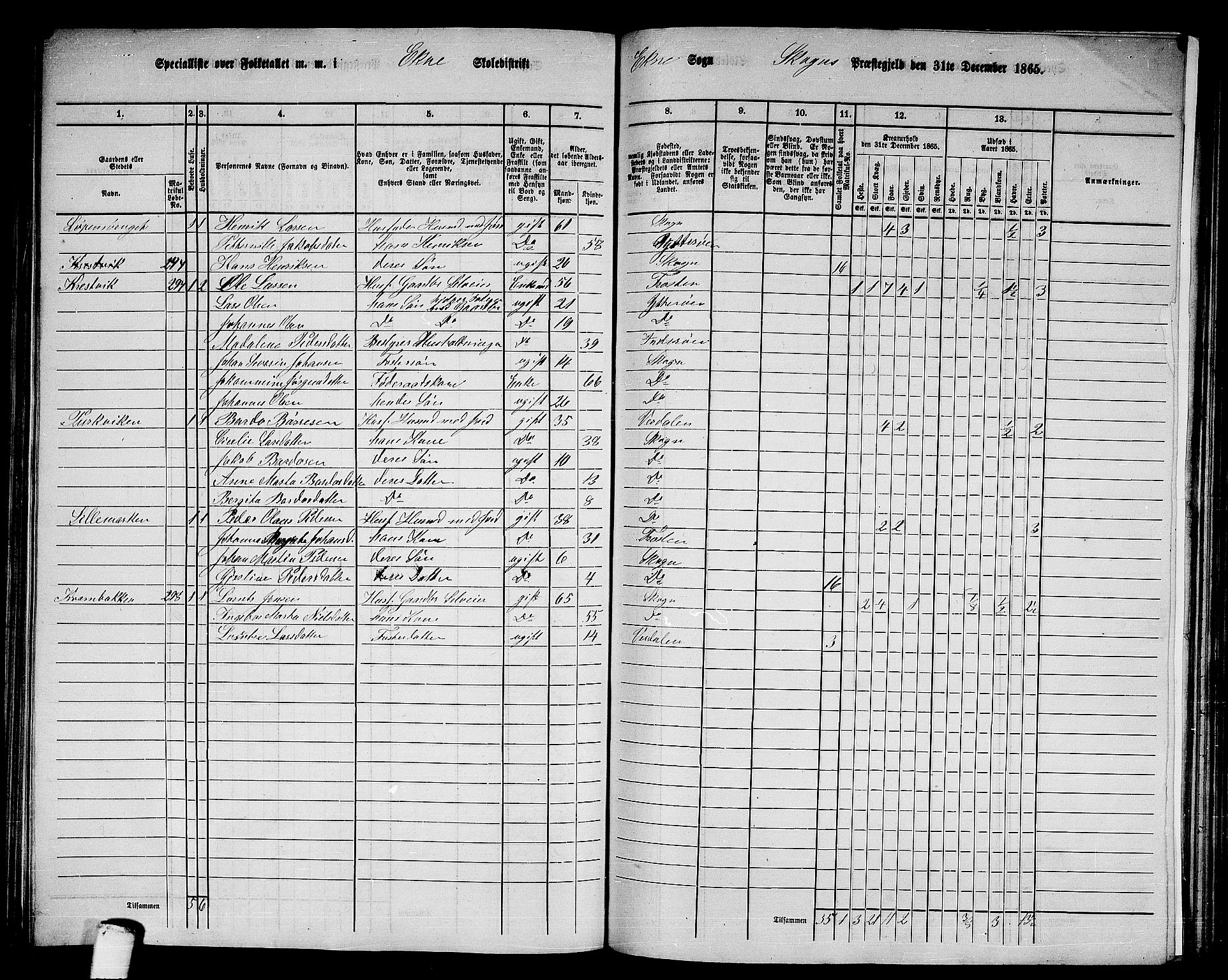 RA, 1865 census for Skogn, 1865, p. 161