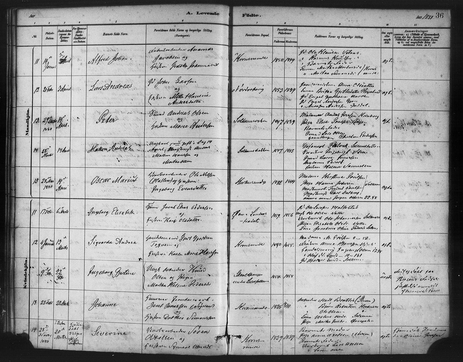 St. Jørgens hospital og Årstad sokneprestembete, AV/SAB-A-99934: Parish register (official) no. A 7, 1879-1886, p. 36