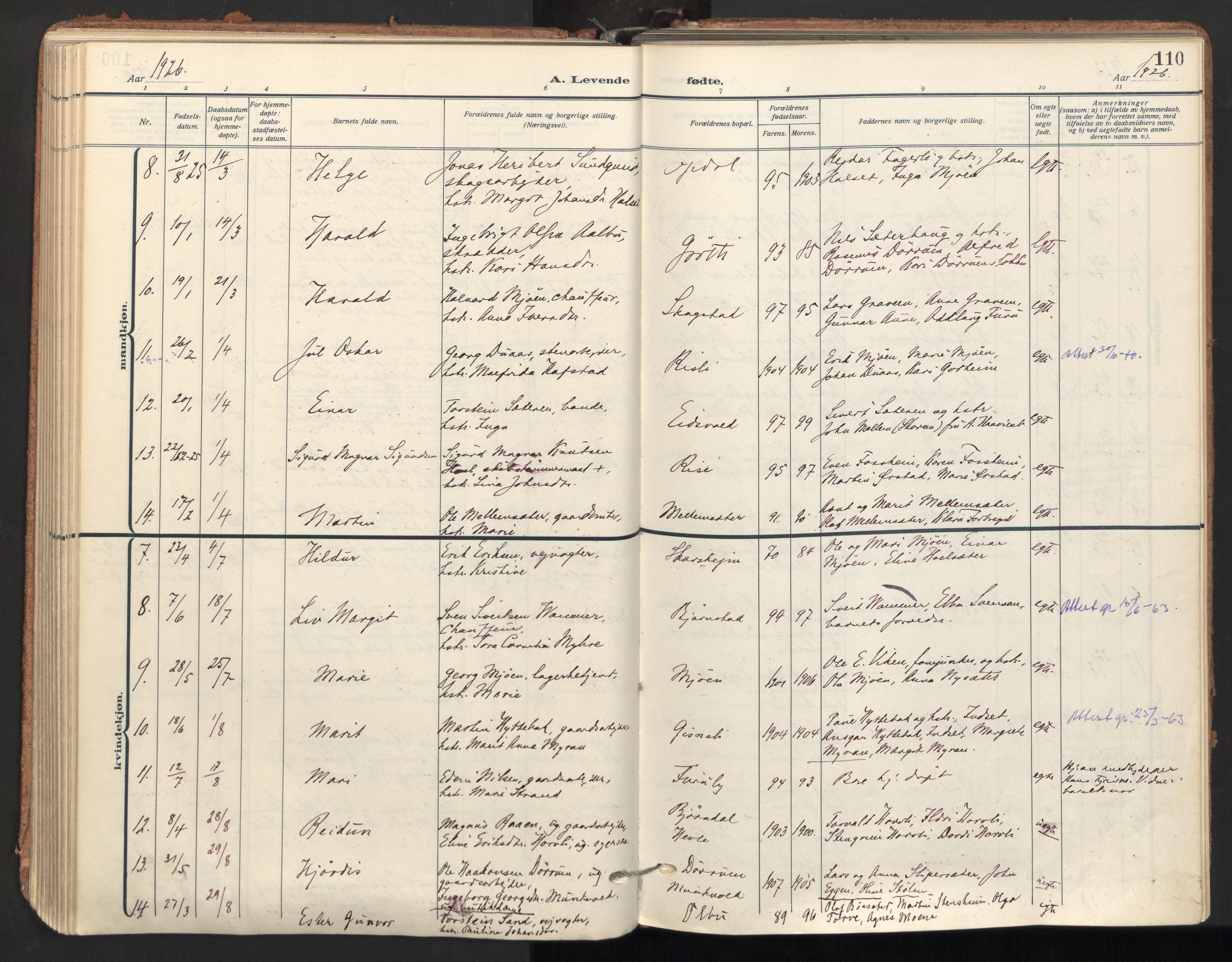 Ministerialprotokoller, klokkerbøker og fødselsregistre - Sør-Trøndelag, SAT/A-1456/678/L0909: Parish register (official) no. 678A17, 1912-1930, p. 110
