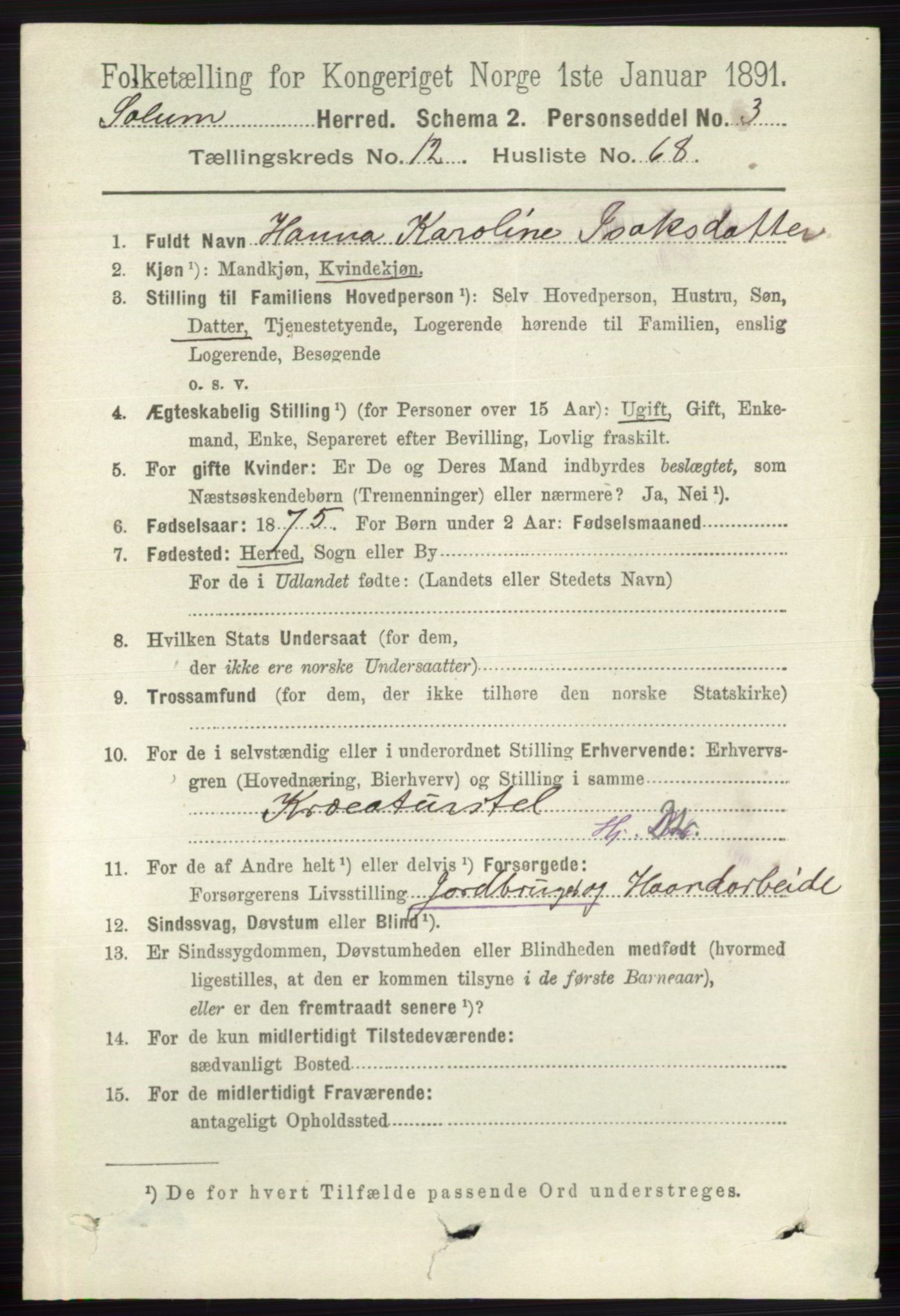 RA, 1891 census for 0818 Solum, 1891, p. 6000