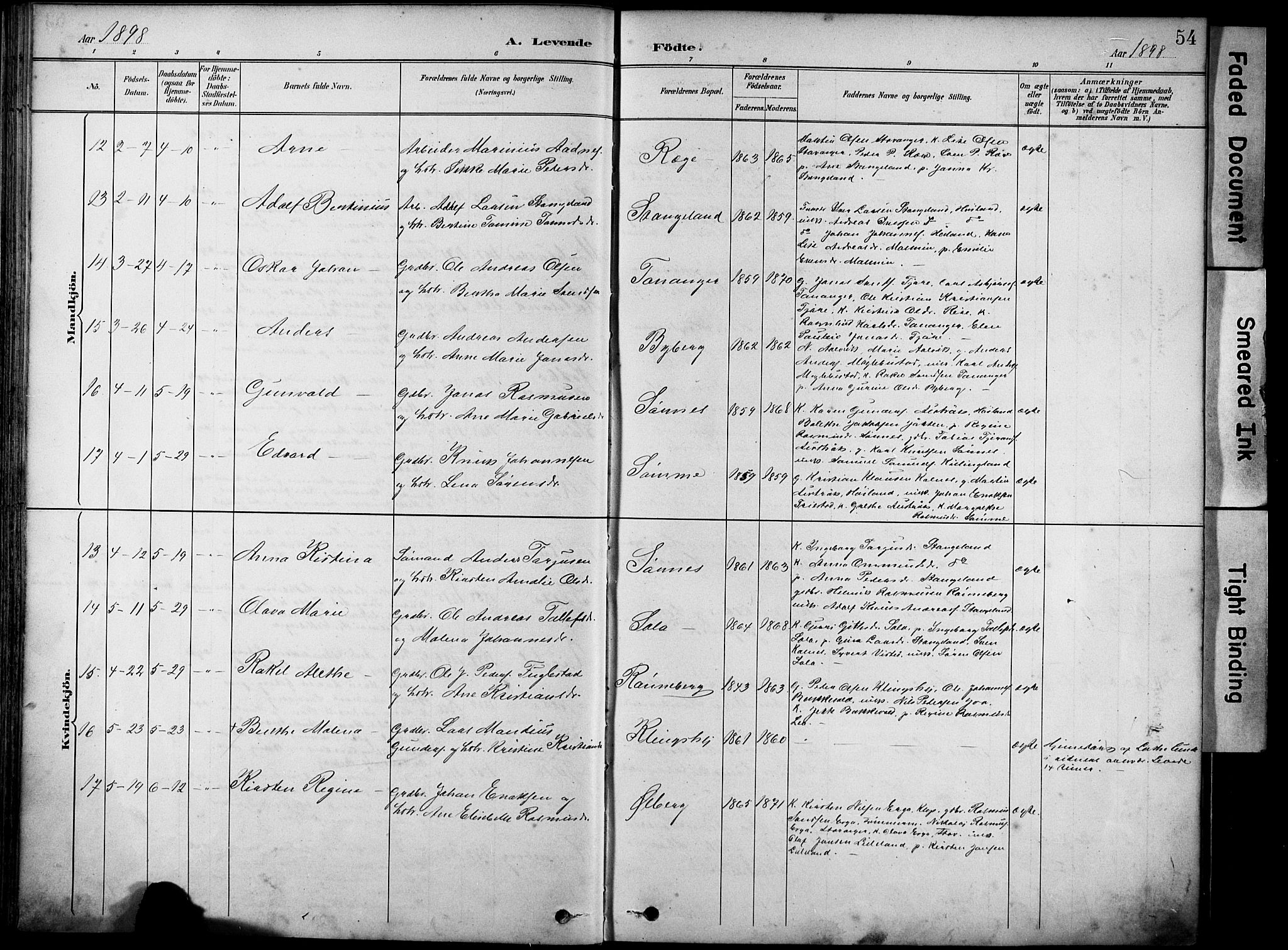 Håland sokneprestkontor, AV/SAST-A-101802/001/30BA/L0012: Parish register (official) no. A 11, 1889-1900, p. 54