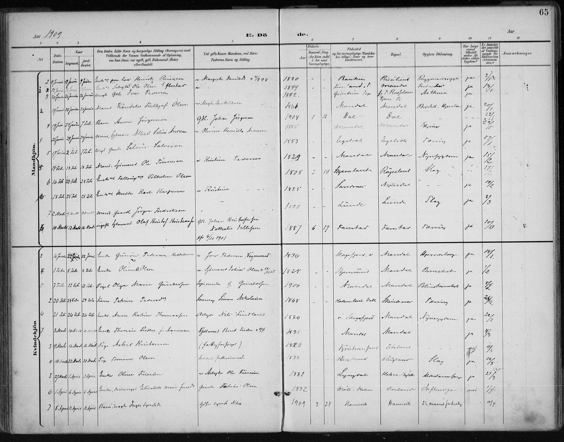 Mandal sokneprestkontor, AV/SAK-1111-0030/F/Fa/Faa/L0021: Parish register (official) no. A 21, 1898-1913, p. 65