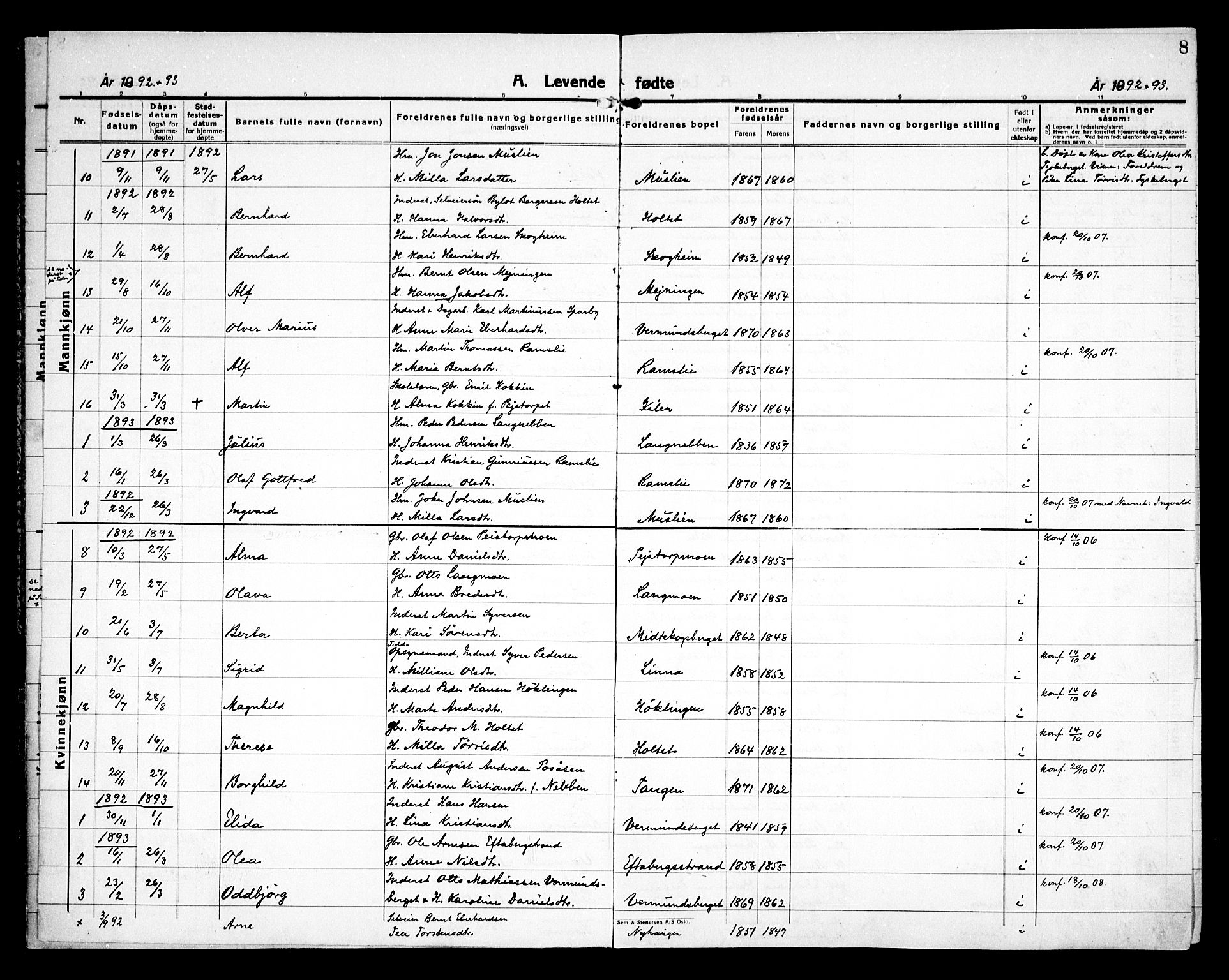 Åsnes prestekontor, AV/SAH-PREST-042/H/Ha/Haa/L0000E: Parish register (official) no. 0C, 1890-1929, p. 8