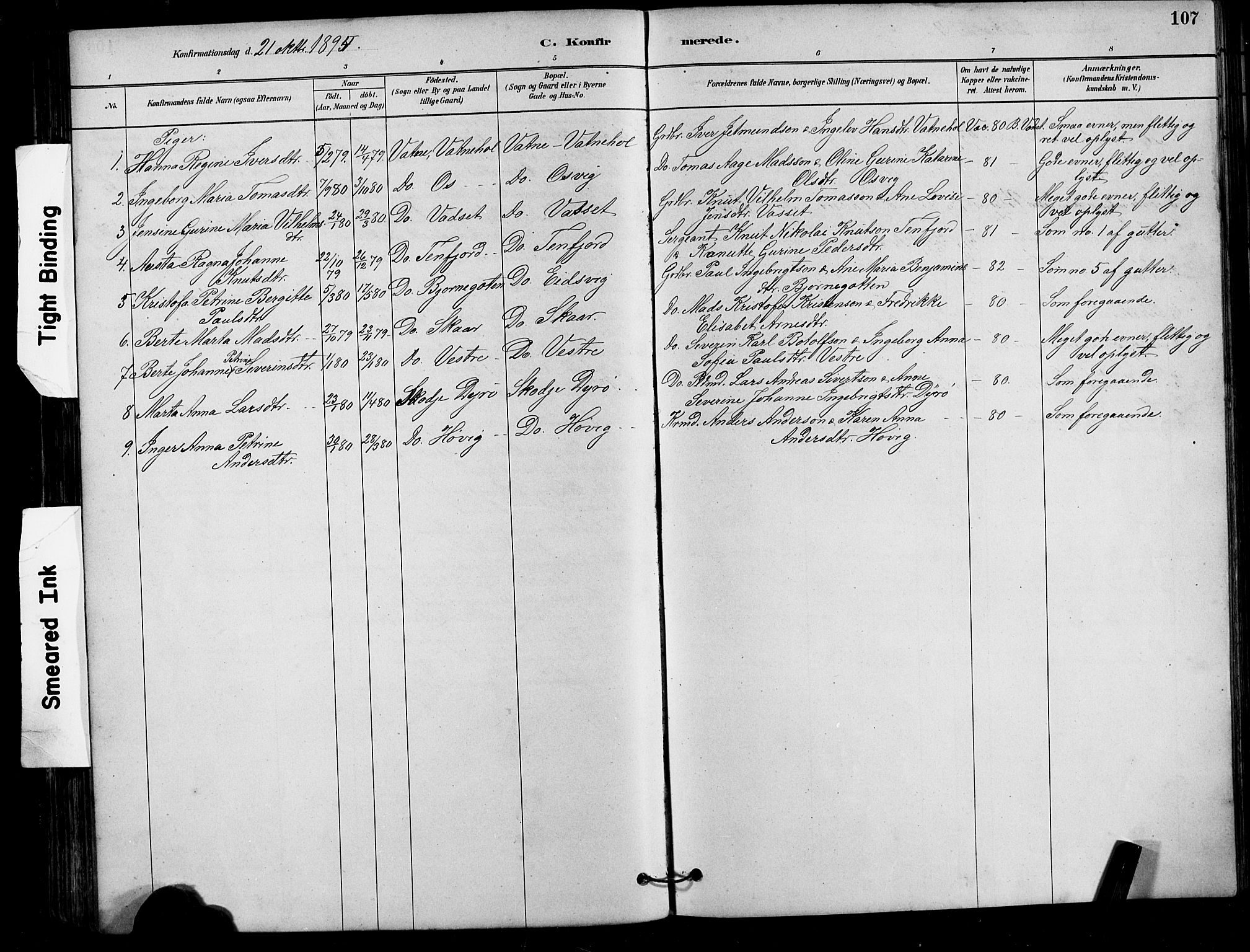 Ministerialprotokoller, klokkerbøker og fødselsregistre - Møre og Romsdal, AV/SAT-A-1454/525/L0376: Parish register (copy) no. 525C02, 1880-1902, p. 107