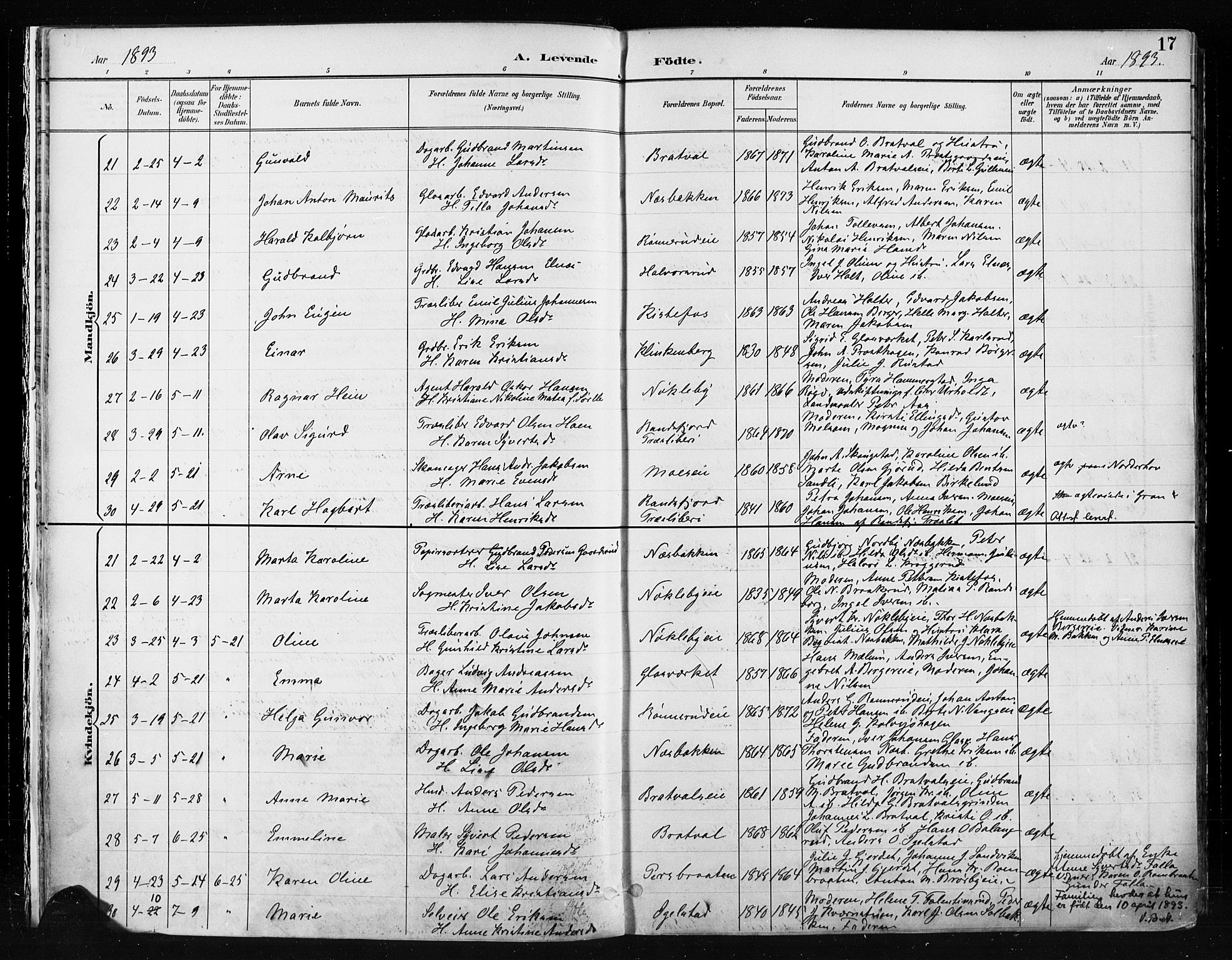 Jevnaker prestekontor, SAH/PREST-116/H/Ha/Haa/L0009: Parish register (official) no. 9, 1891-1901, p. 17