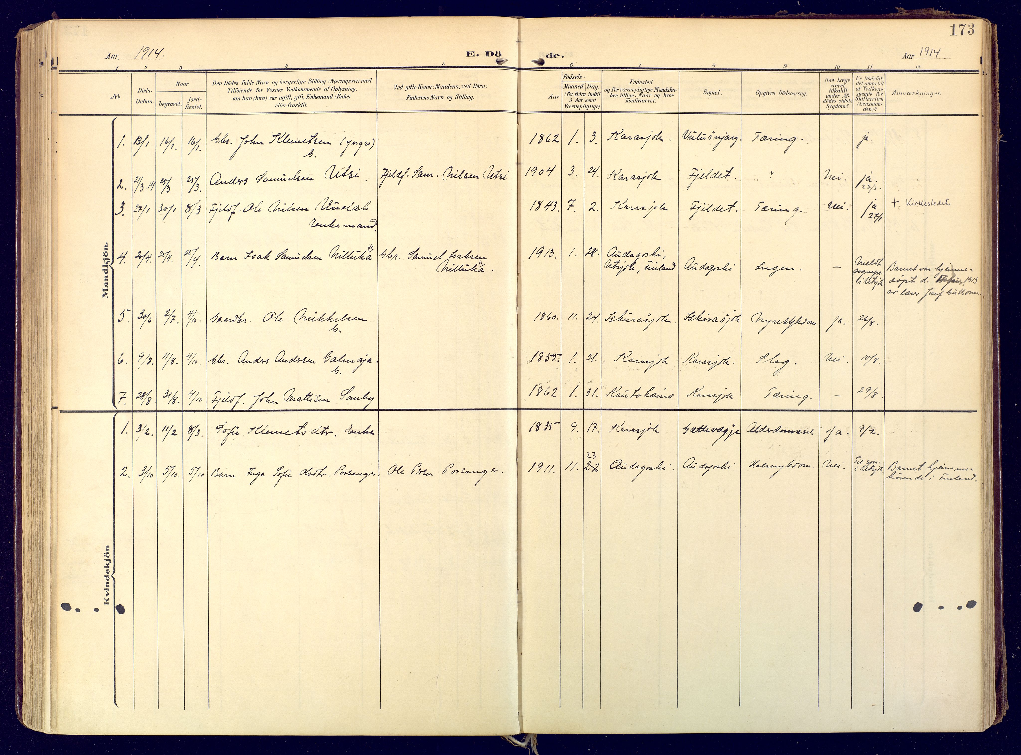 Karasjok sokneprestkontor, SATØ/S-1352/H/Ha: Parish register (official) no. 3, 1907-1926, p. 173