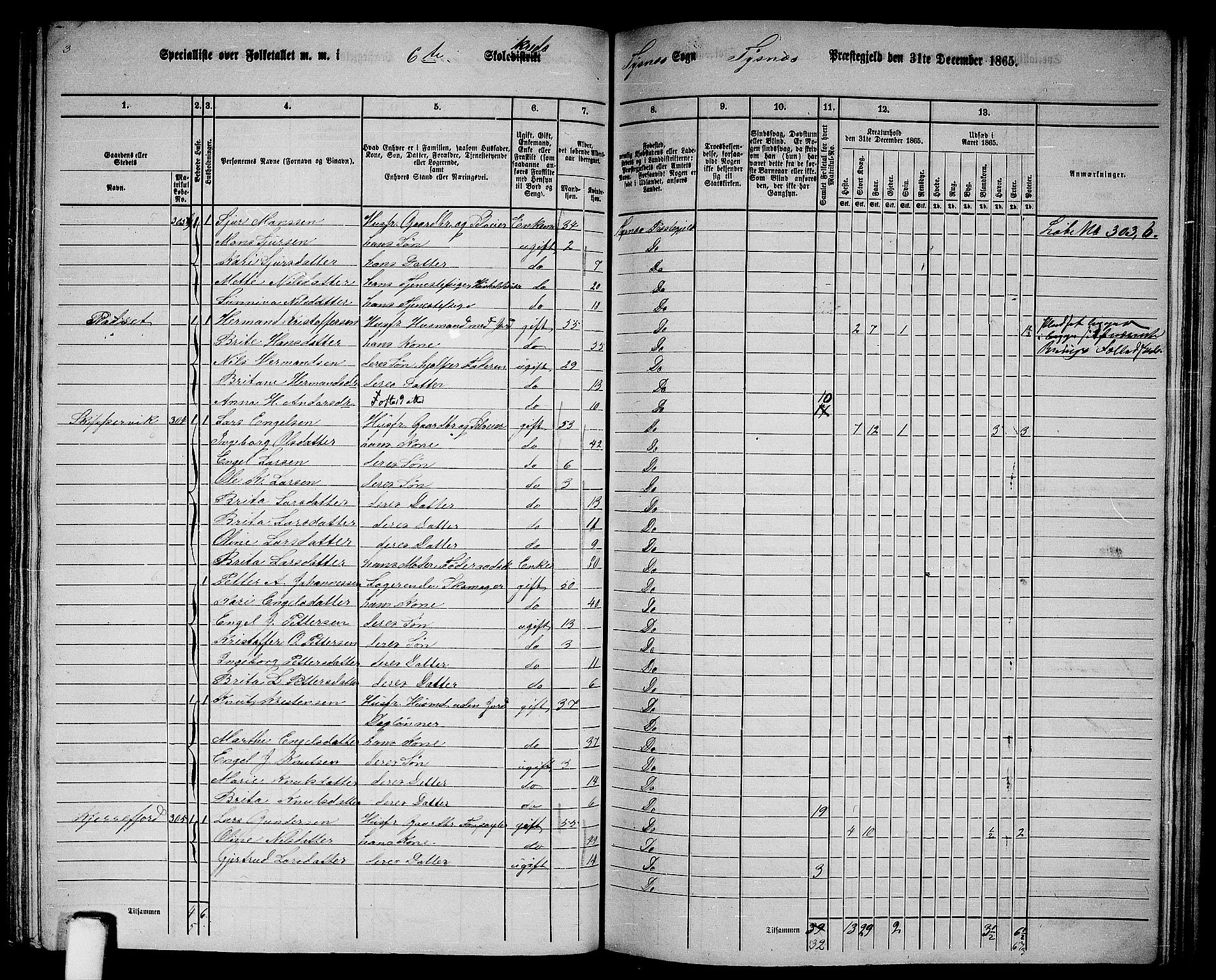 RA, 1865 census for Tysnes, 1865, p. 116