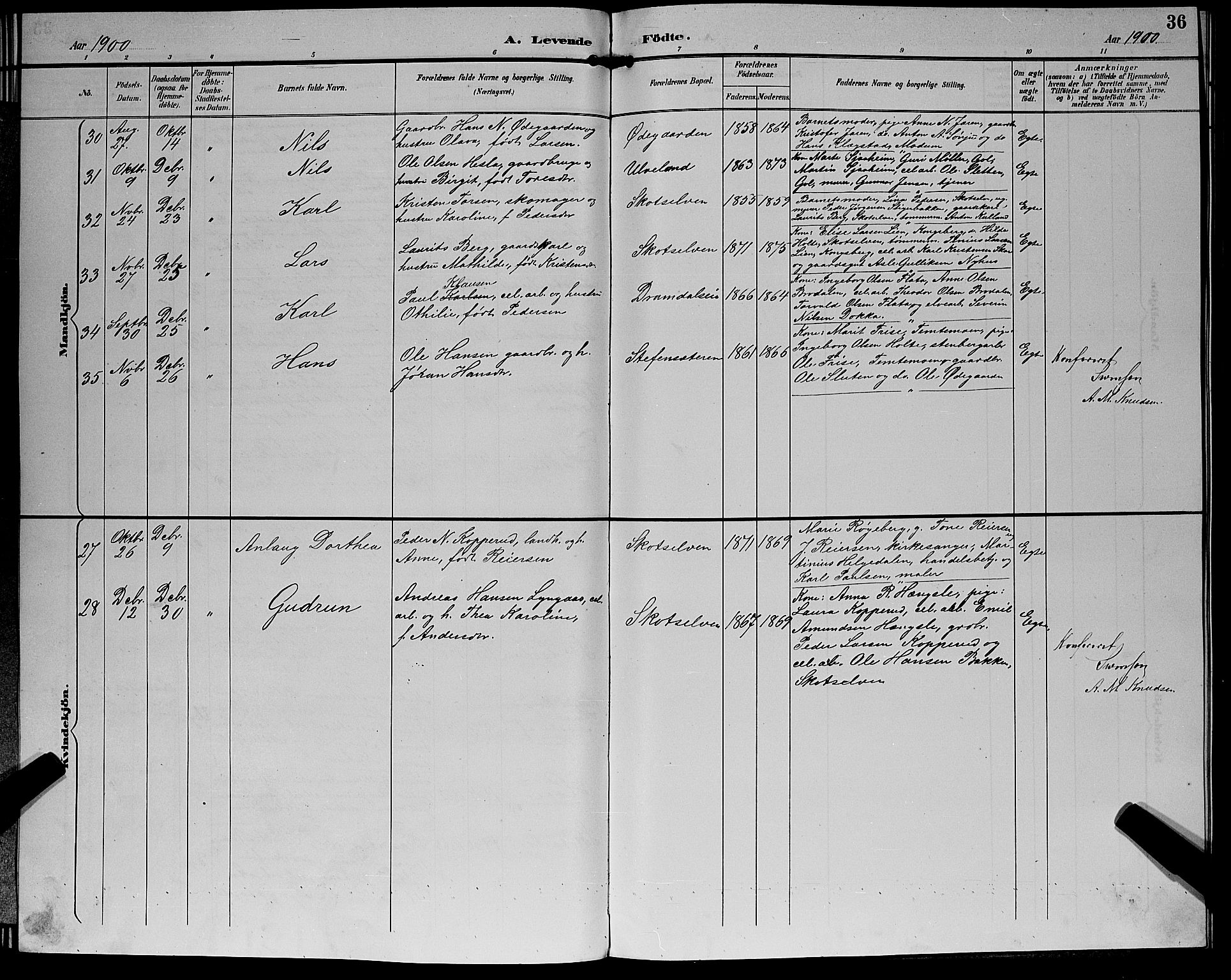 Eiker kirkebøker, SAKO/A-4/G/Gb/L0004: Parish register (copy) no. II 4, 1894-1900, p. 36