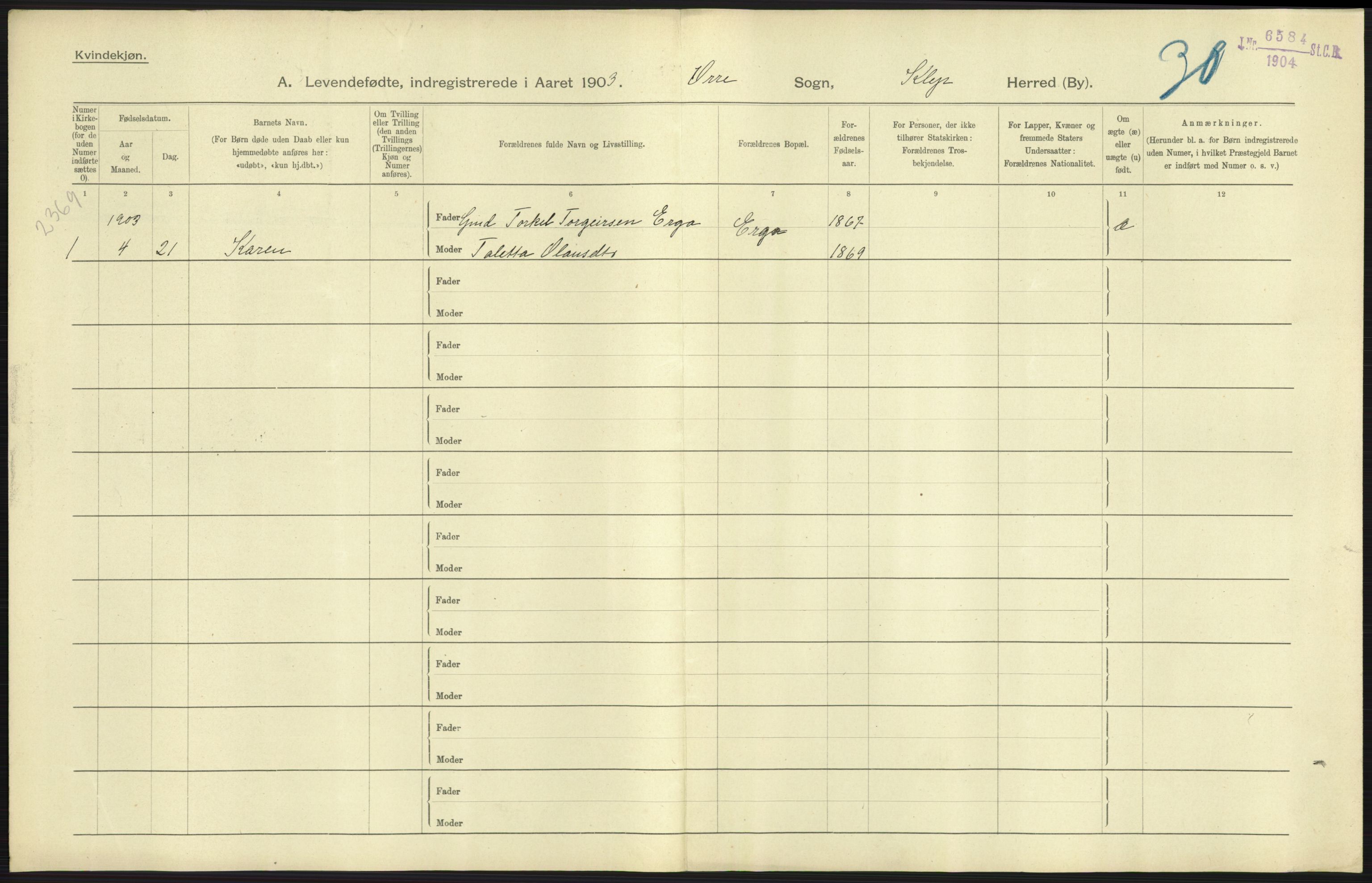 Statistisk sentralbyrå, Sosiodemografiske emner, Befolkning, AV/RA-S-2228/D/Df/Dfa/Dfaa/L0012: Stavanger amt: Fødte, gifte, døde, 1903, p. 35