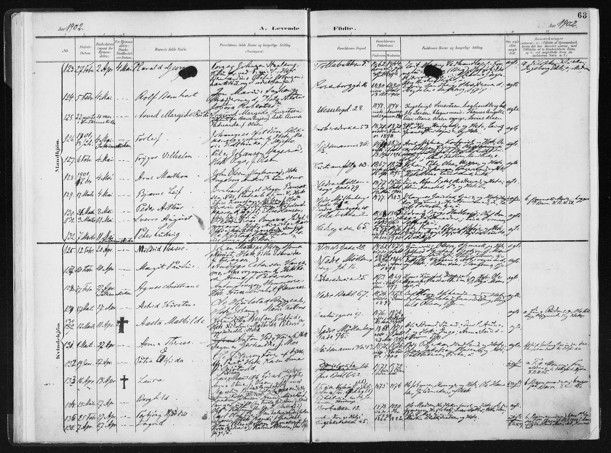 Ministerialprotokoller, klokkerbøker og fødselsregistre - Sør-Trøndelag, AV/SAT-A-1456/604/L0199: Parish register (official) no. 604A20I, 1901-1906, p. 63