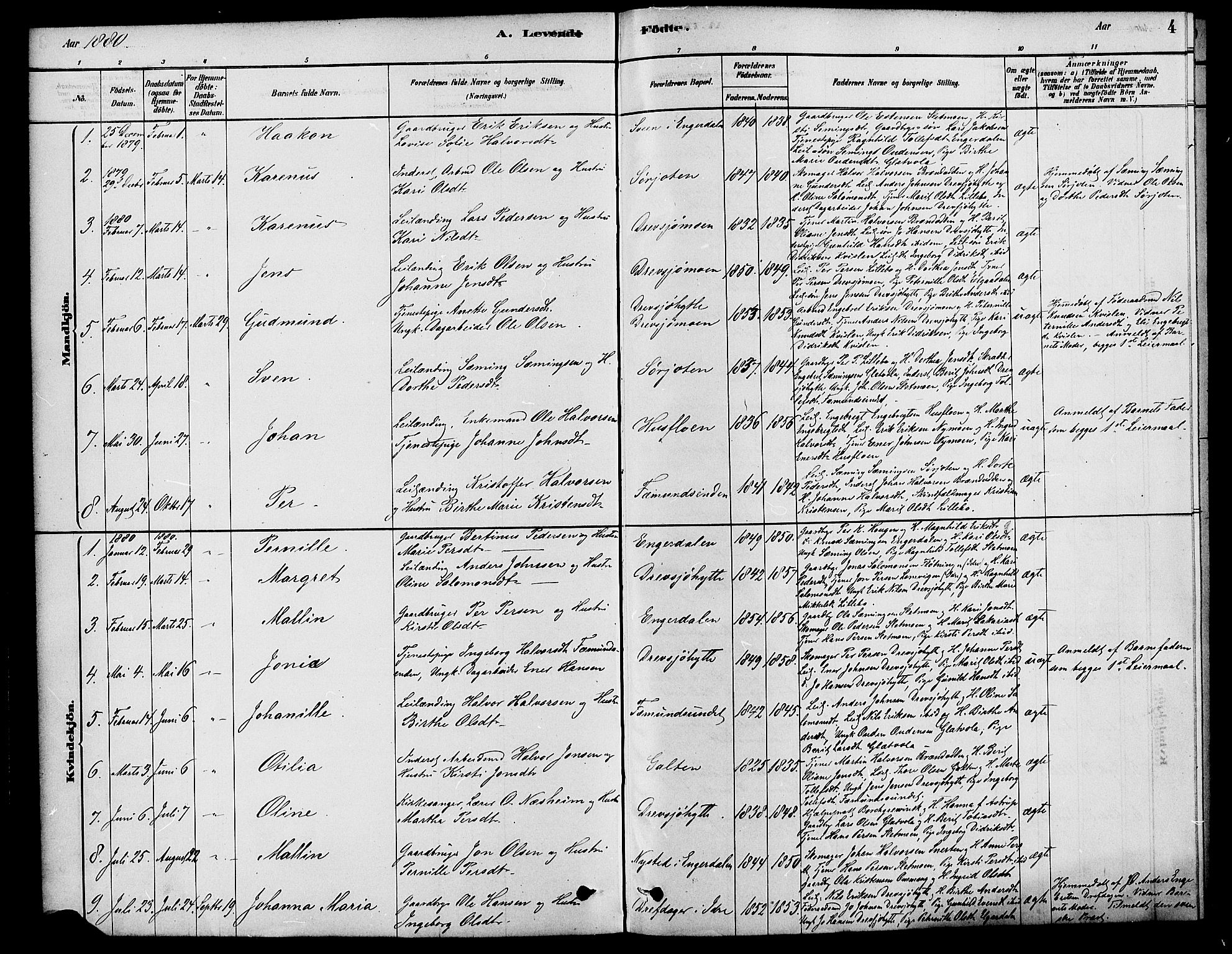 Rendalen prestekontor, AV/SAH-PREST-054/H/Ha/Haa/L0007: Parish register (official) no. 7, 1878-1898, p. 4