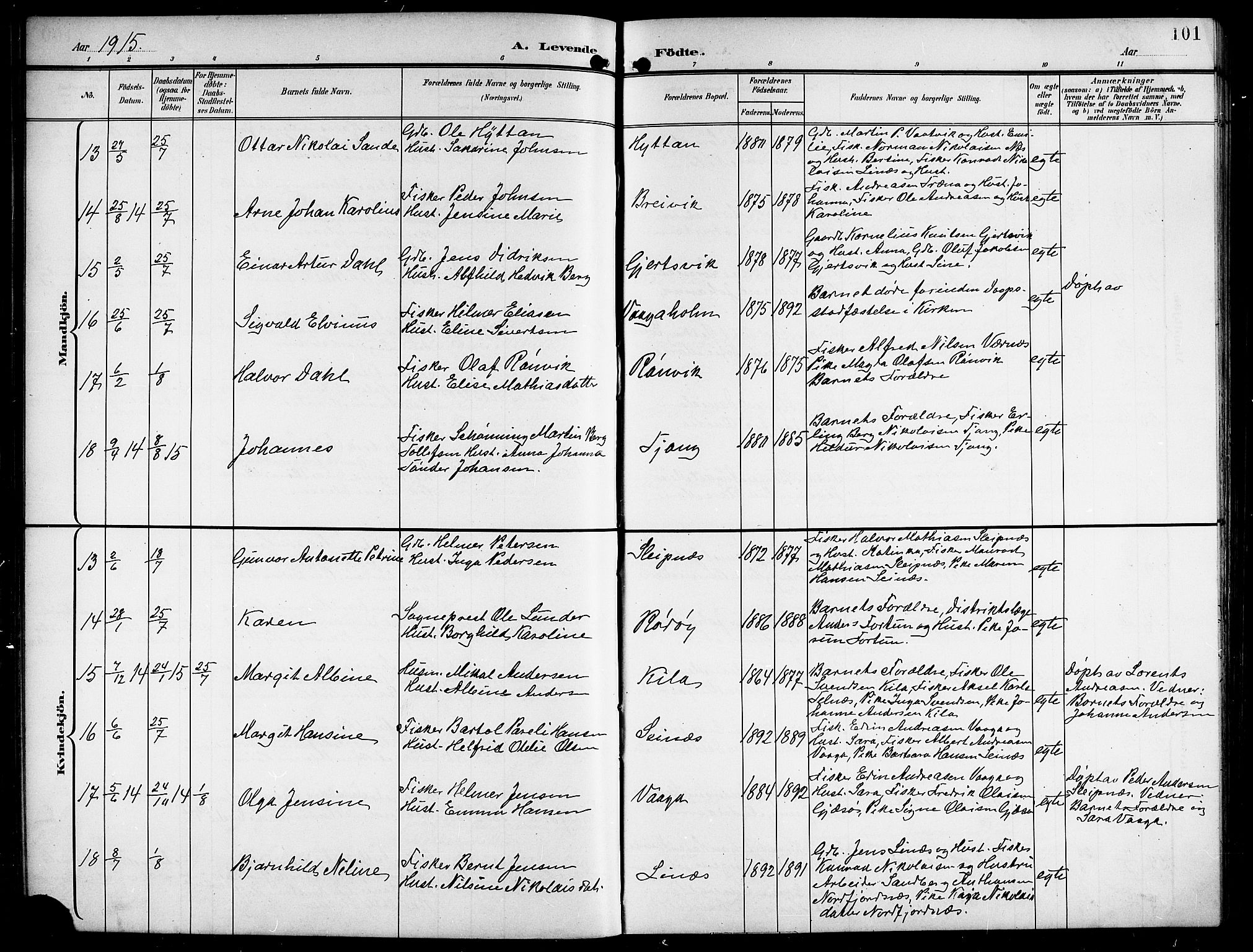 Ministerialprotokoller, klokkerbøker og fødselsregistre - Nordland, AV/SAT-A-1459/841/L0621: Parish register (copy) no. 841C05, 1897-1923, p. 101