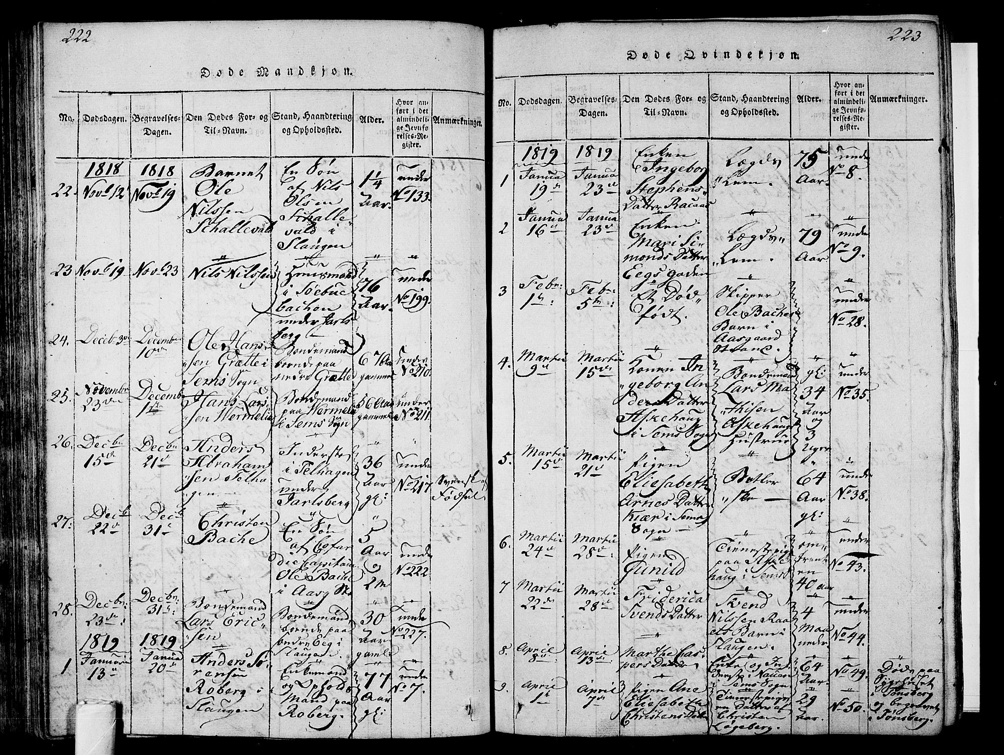 Sem kirkebøker, AV/SAKO-A-5/F/Fa/L0004: Parish register (official) no. I 4, 1814-1825, p. 222-223