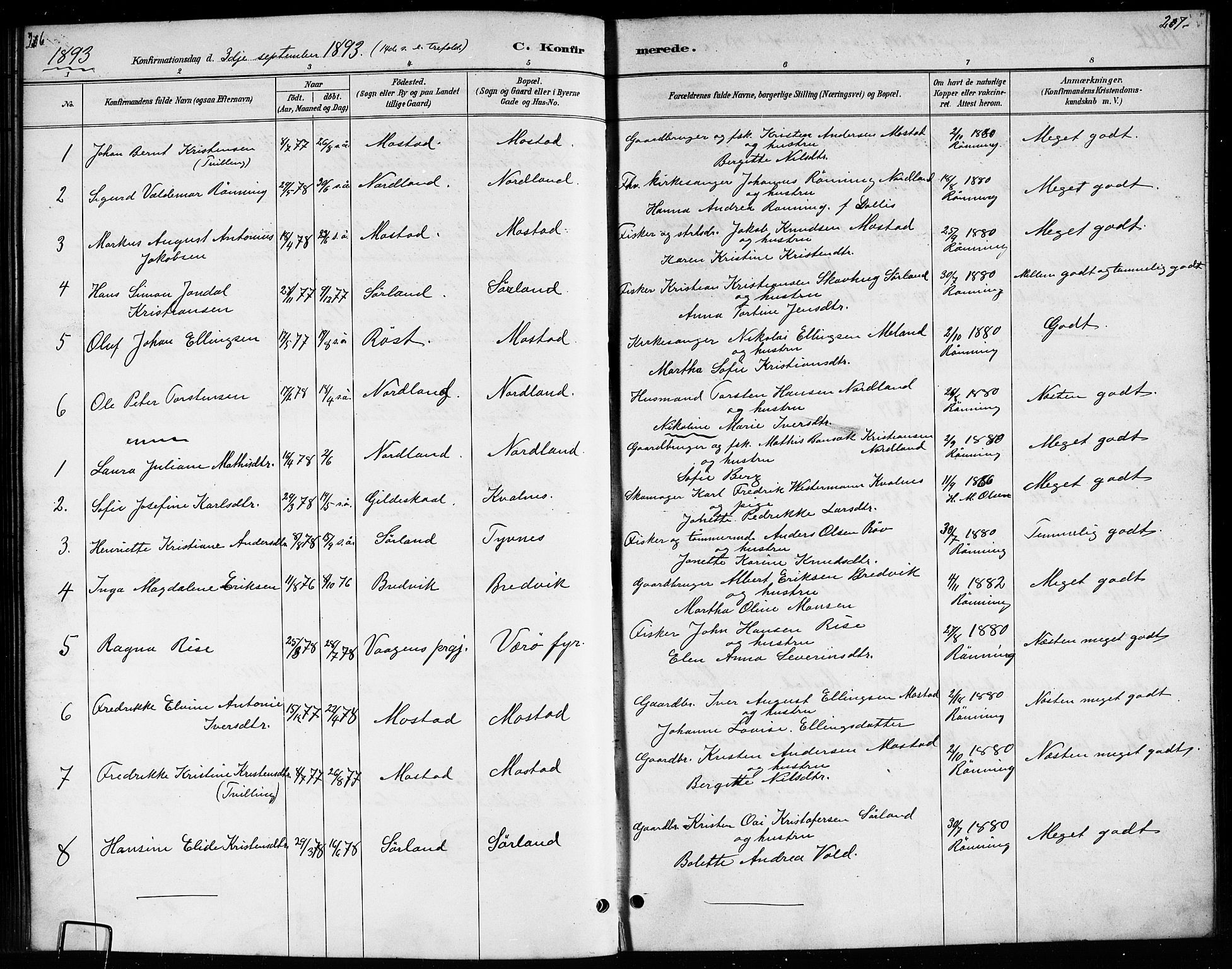 Ministerialprotokoller, klokkerbøker og fødselsregistre - Nordland, AV/SAT-A-1459/807/L0123: Parish register (copy) no. 807C01, 1884-1910, p. 206-207