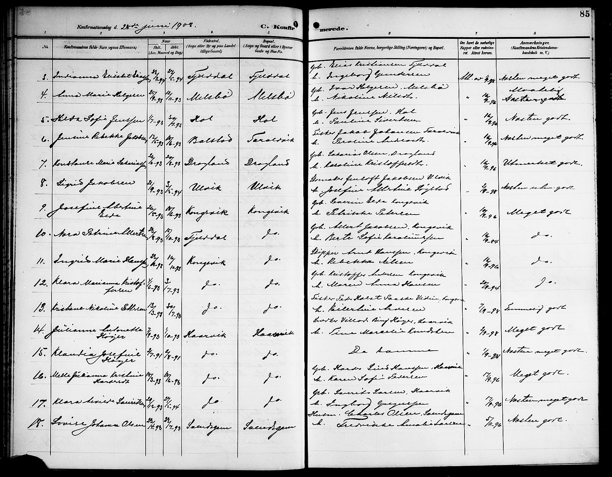 Ministerialprotokoller, klokkerbøker og fødselsregistre - Nordland, AV/SAT-A-1459/865/L0932: Parish register (copy) no. 865C04, 1901-1917, p. 85