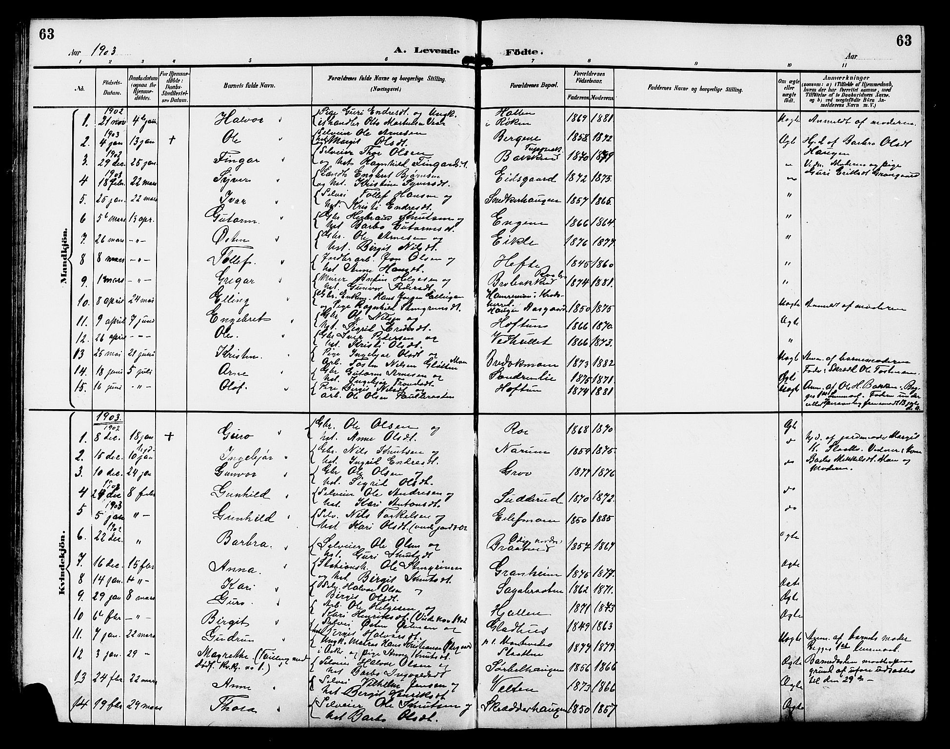 Gol kirkebøker, SAKO/A-226/G/Ga/L0003: Parish register (copy) no. I 3, 1887-1914, p. 63