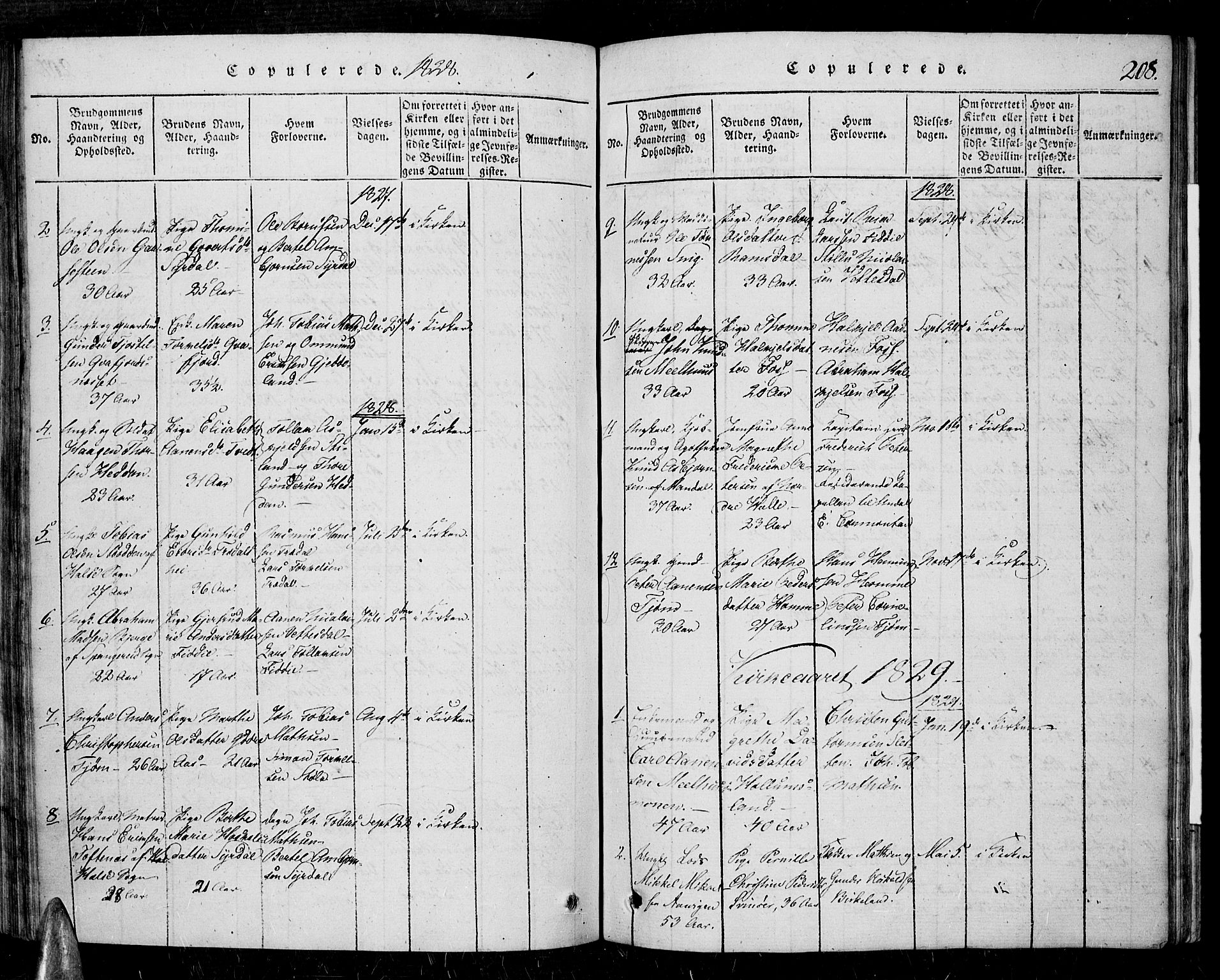 Sør-Audnedal sokneprestkontor, AV/SAK-1111-0039/F/Fa/Fab/L0005: Parish register (official) no. A 5, 1816-1830, p. 208