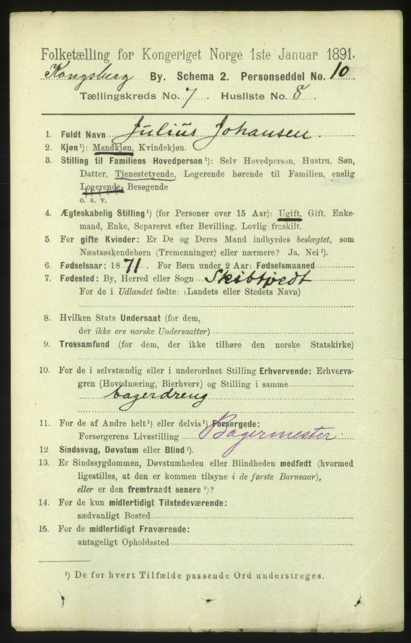 RA, 1891 census for 0604 Kongsberg, 1891, p. 5069