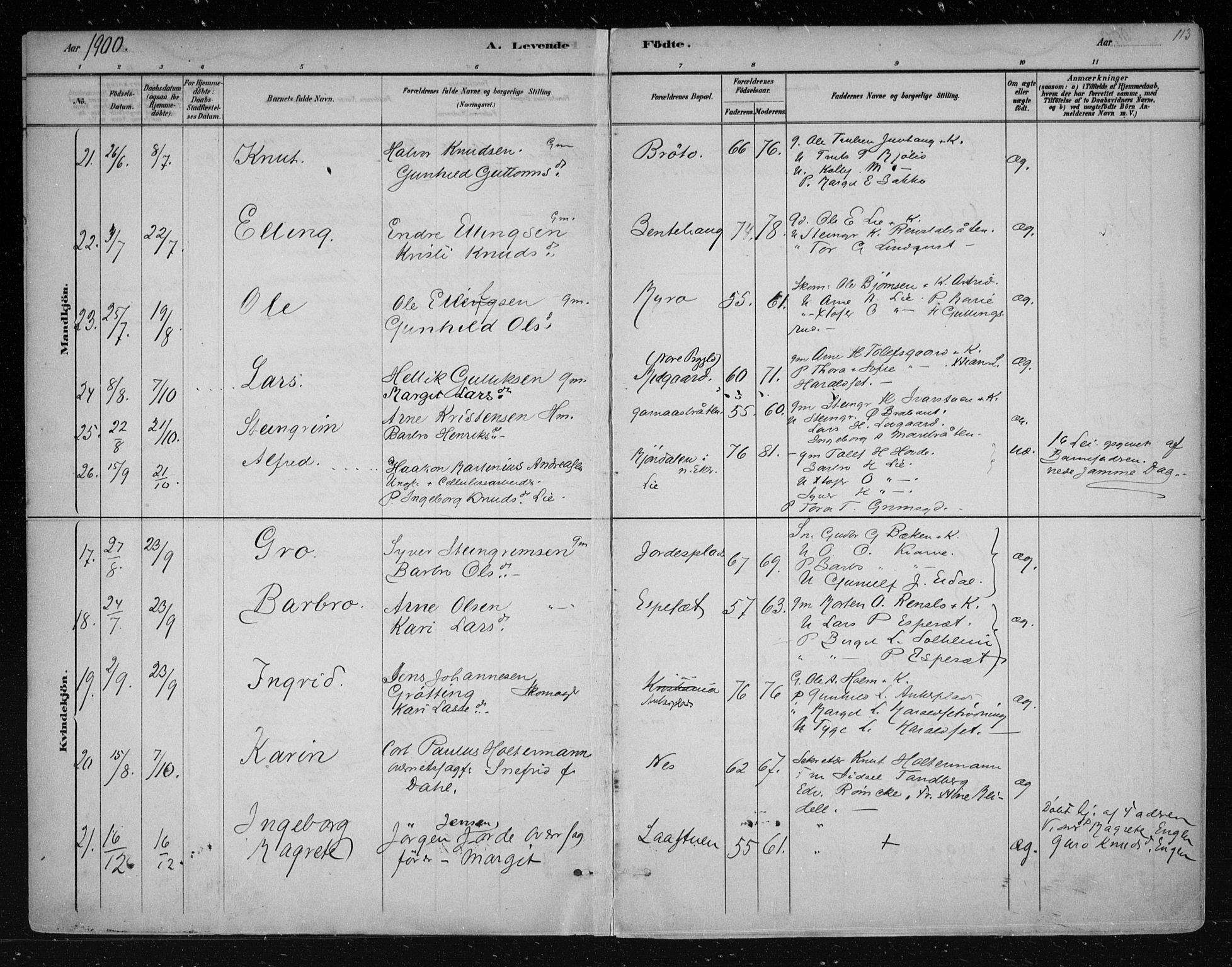 Nes kirkebøker, AV/SAKO-A-236/F/Fa/L0011: Parish register (official) no. 11, 1881-1912, p. 113