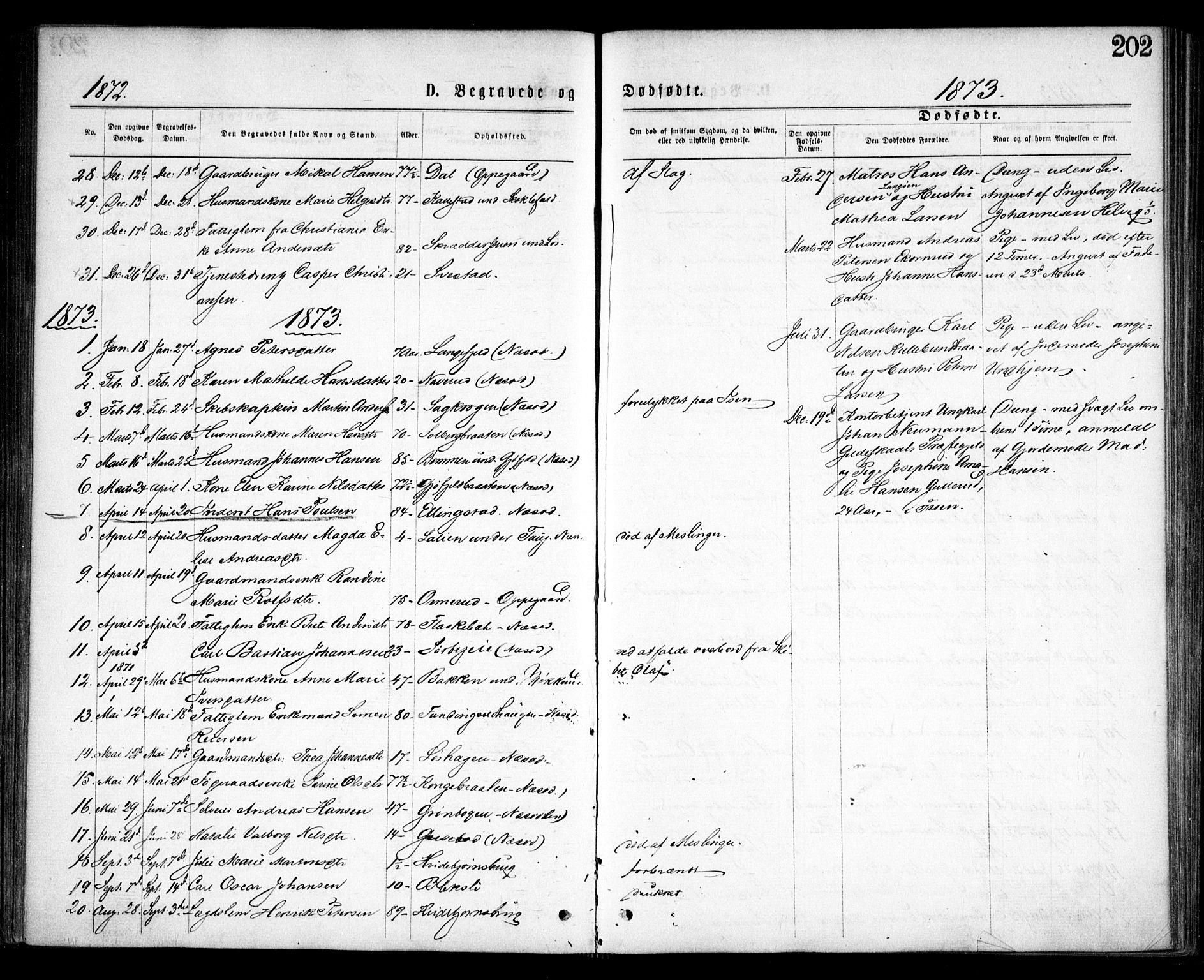 Nesodden prestekontor Kirkebøker, AV/SAO-A-10013/F/Fa/L0008: Parish register (official) no. I 8, 1869-1879, p. 202