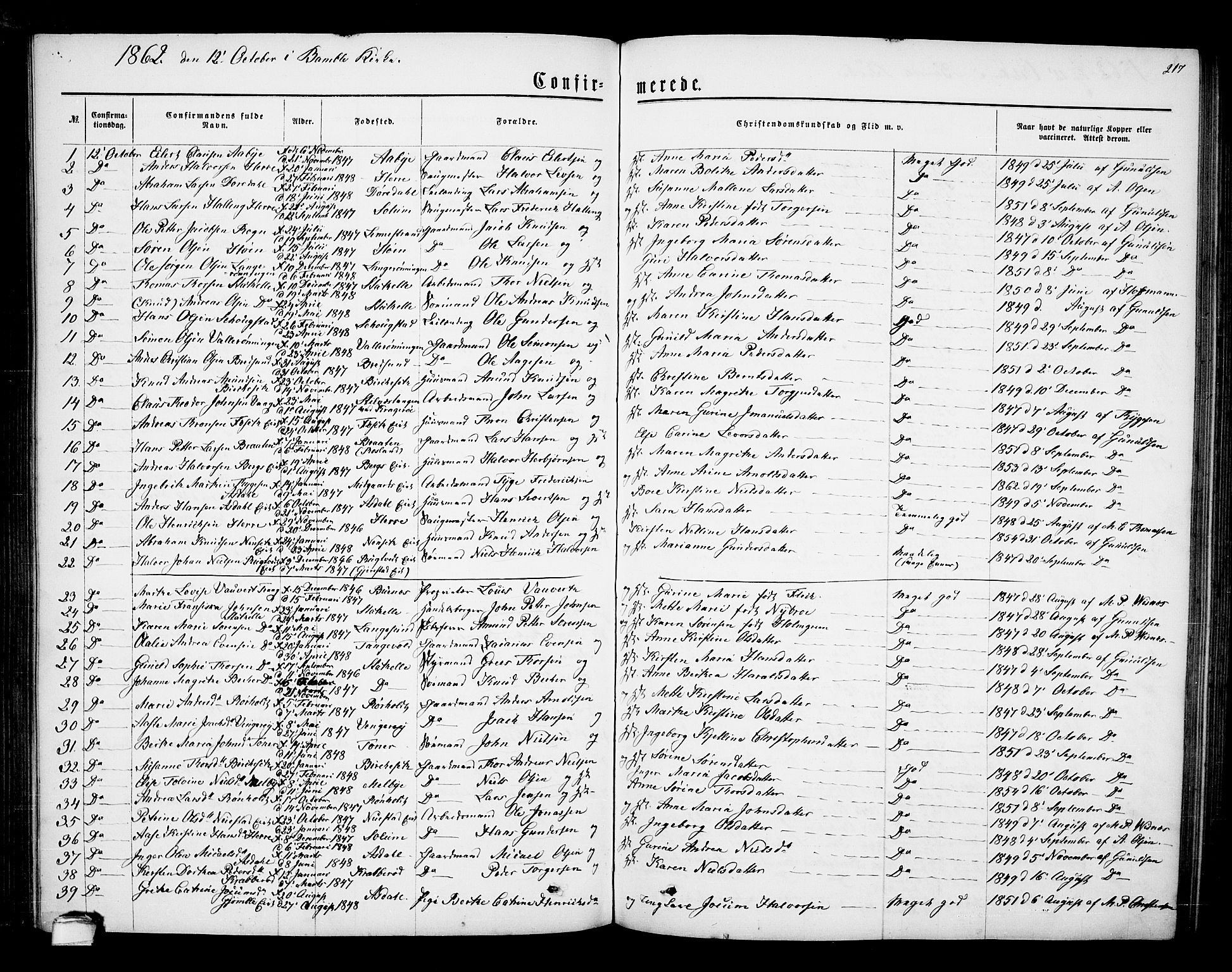 Bamble kirkebøker, SAKO/A-253/G/Ga/L0006: Parish register (copy) no. I 6, 1860-1876, p. 217